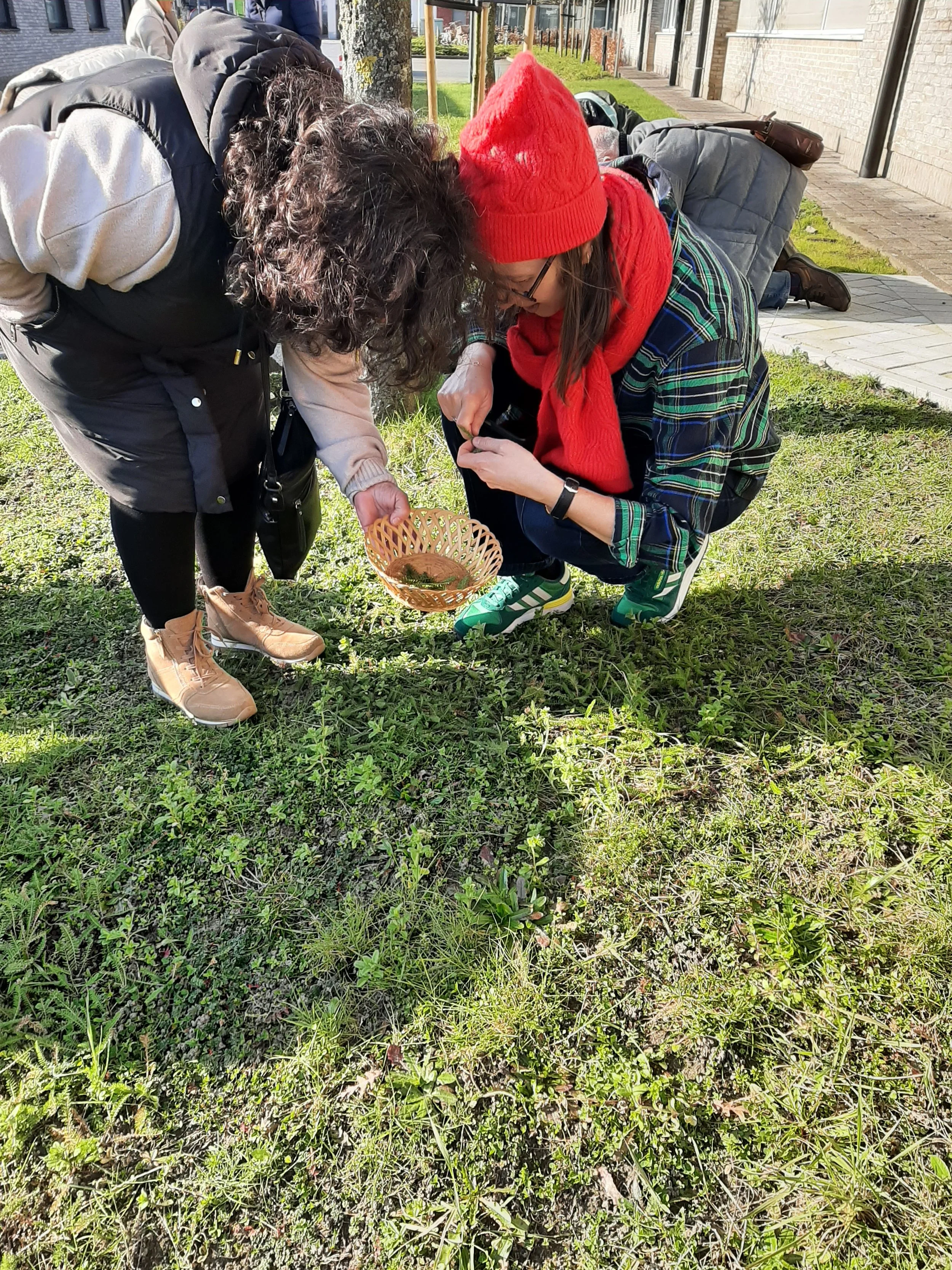 wildplukwandeling met wildplukworkshop