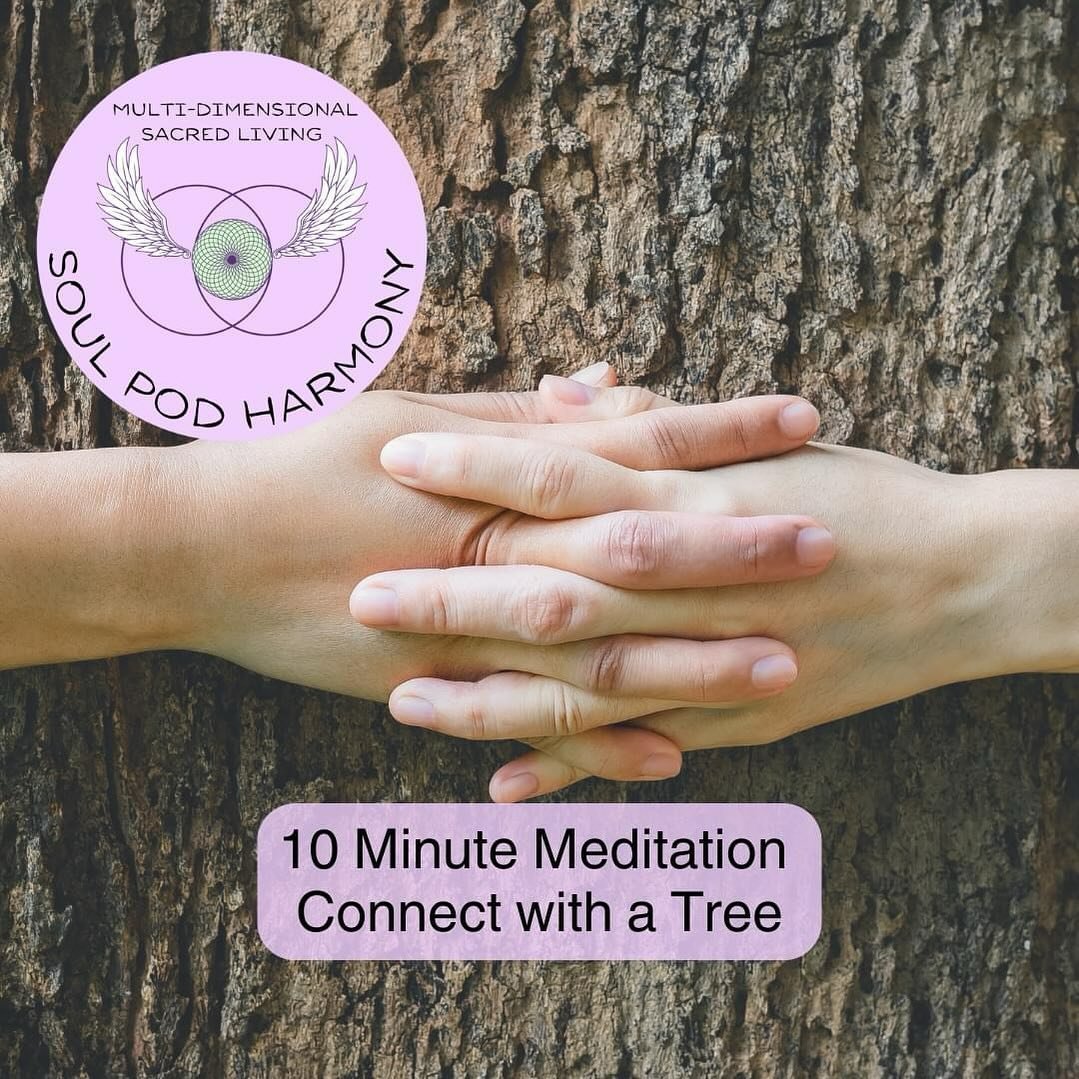 @soulpod888harmony revere trees and nature and thought you might enjoy another FREE MEDITATION on Youtube to connect with a tree.🌳 

Trees have immense and enduring strength and offer much to the environment and to us, not only in a physiological an