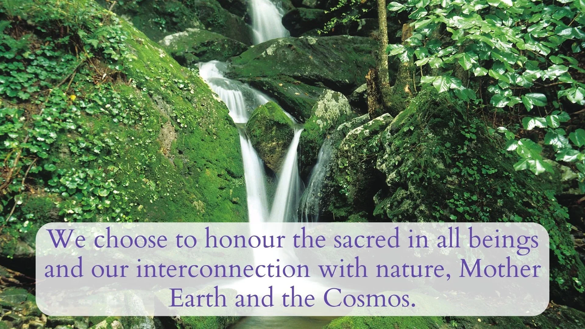 honour sacred.jpg