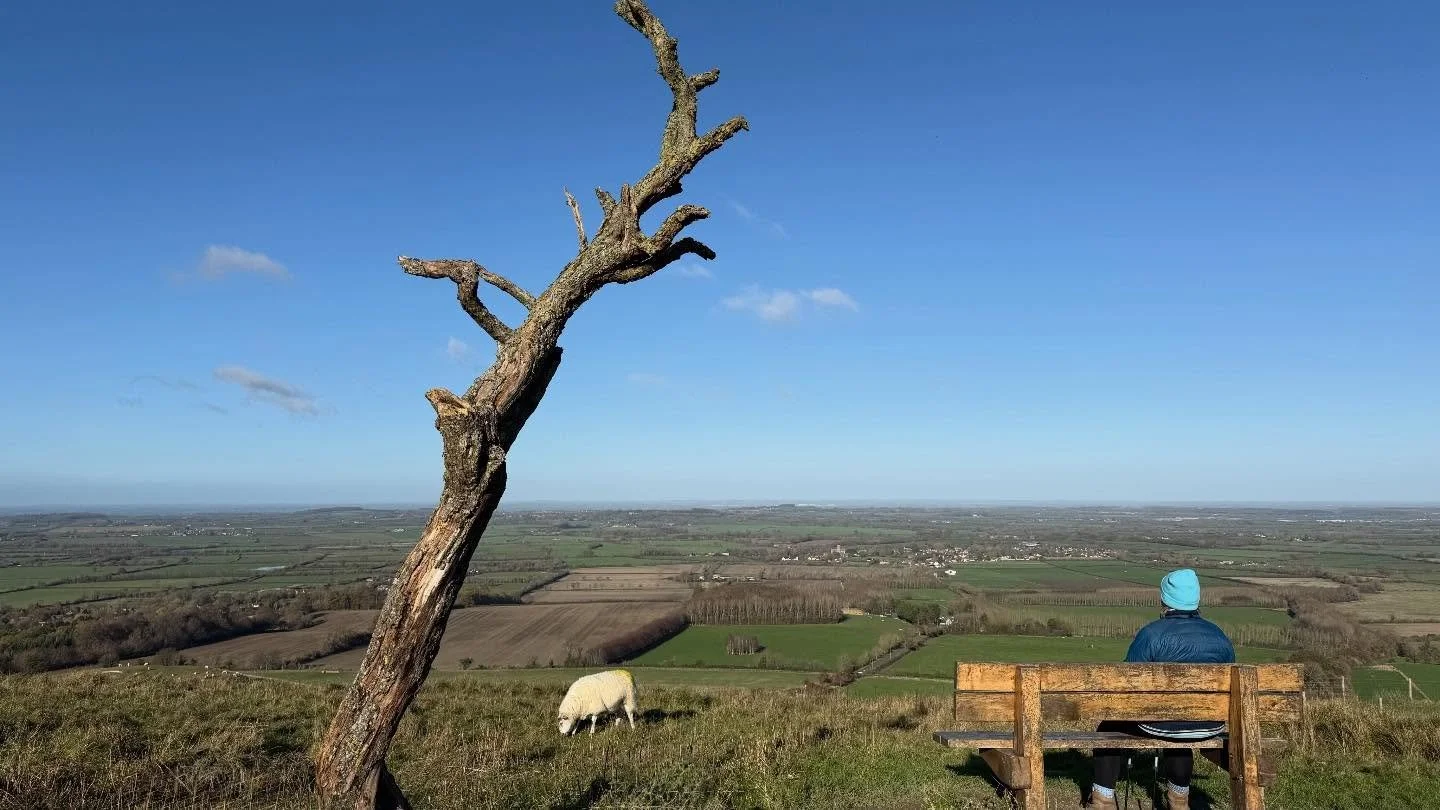 &ldquo;Working with the dying is like being a midwife for this great rite of passage of death. Just as a midwife helps a being take their first breath, you help a being take their last breath.&rdquo;
- Ram Dass

Do you need support - a soul companion