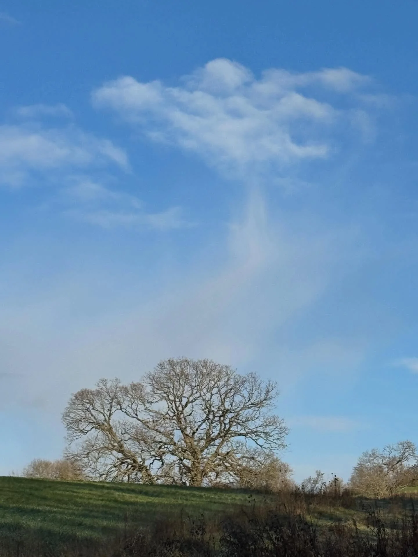 Beautiful cloud formations on my walk today &hellip; what do you see? 

#cloudbusting #sylphs #archangelariel #mothernaturesbeauty #revhelenjames