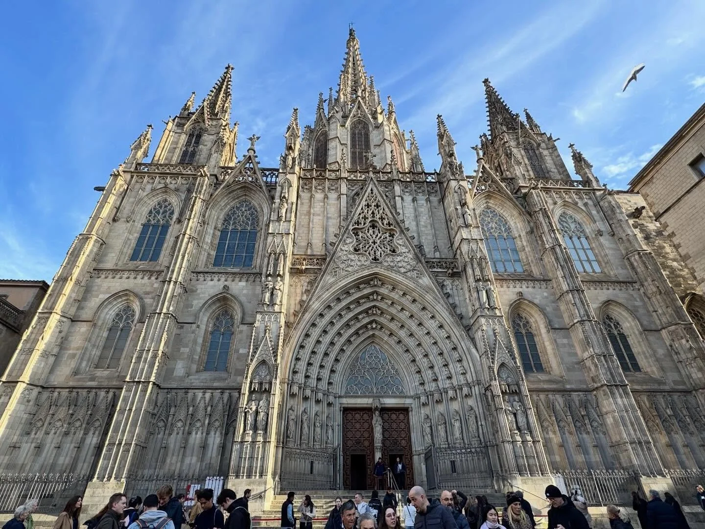 We were able to walk on the roof of the Cathedral of the Holy Cross and Saint Eulalia in Barcelona which offers amazing views of the city&rsquo;s gothic quarter. There are 200 gargoyles on the building and many angels. 

The presence of 13 white gees