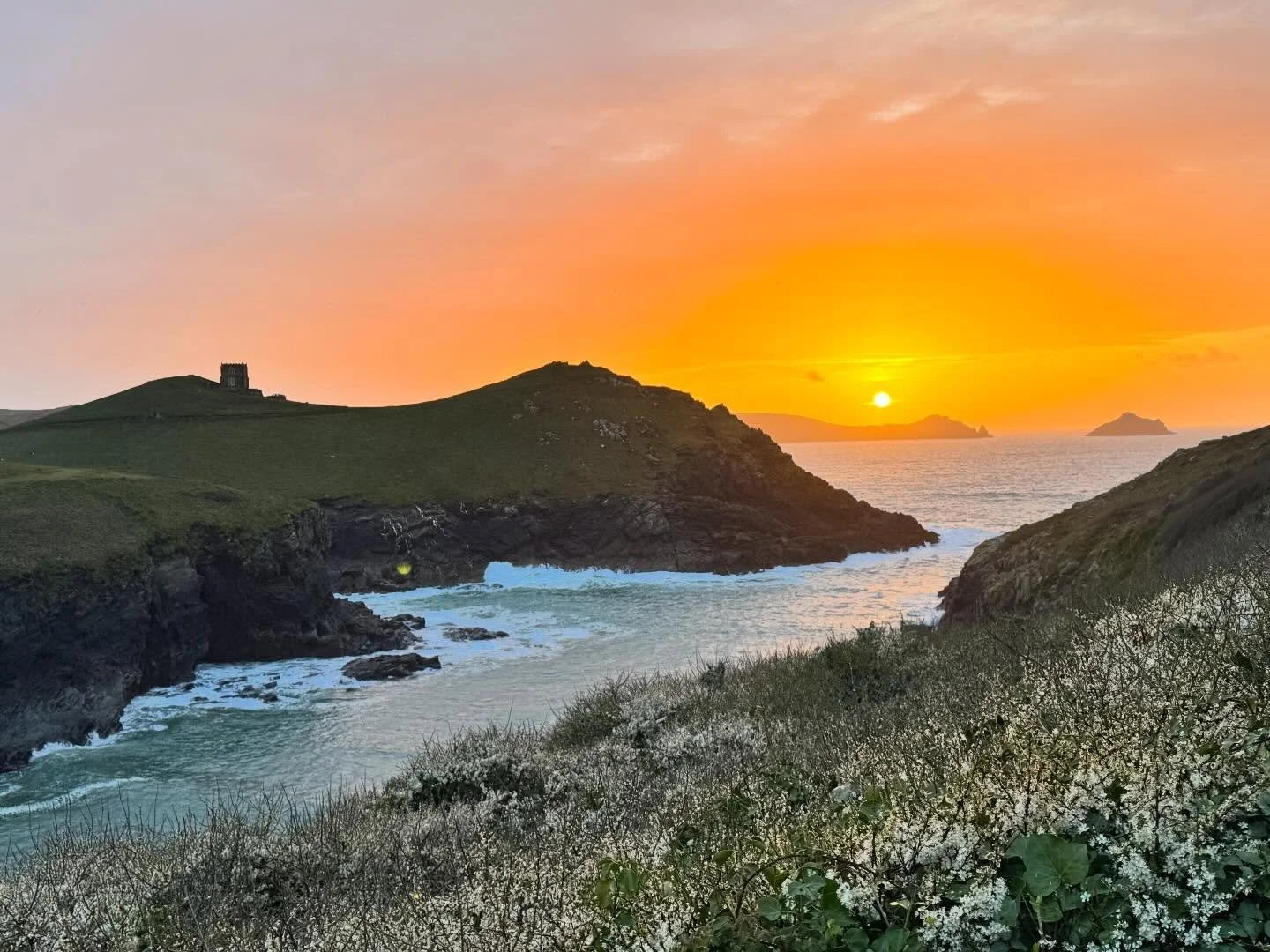 It was an honour to officiate a funeral at Westerleigh Crematorium in Bristol on Friday for my partner&rsquo;s nephew, Christian. 🌺 

It was an intimate, dignified and heartfelt ceremony. 🌱 

Thanks to @divineceremony - Dee, Isabel and Rosalind - f