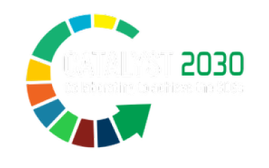 catalyst-2030-do-it-now-now.png