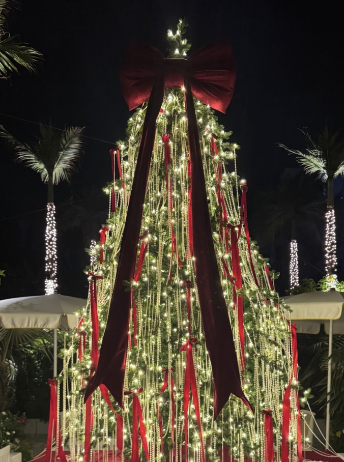 Festive Events at Palm Heights 2025