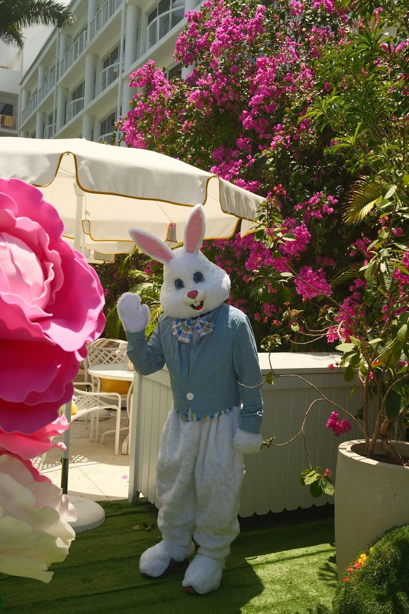 Easter Egg Hunt at Palm Heights