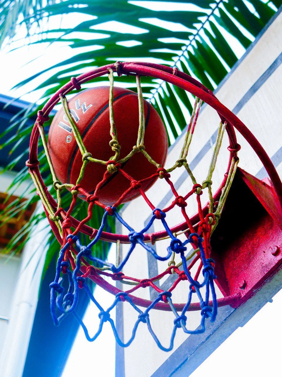 IMAGE 2024-03-06 19:42:45.jpg