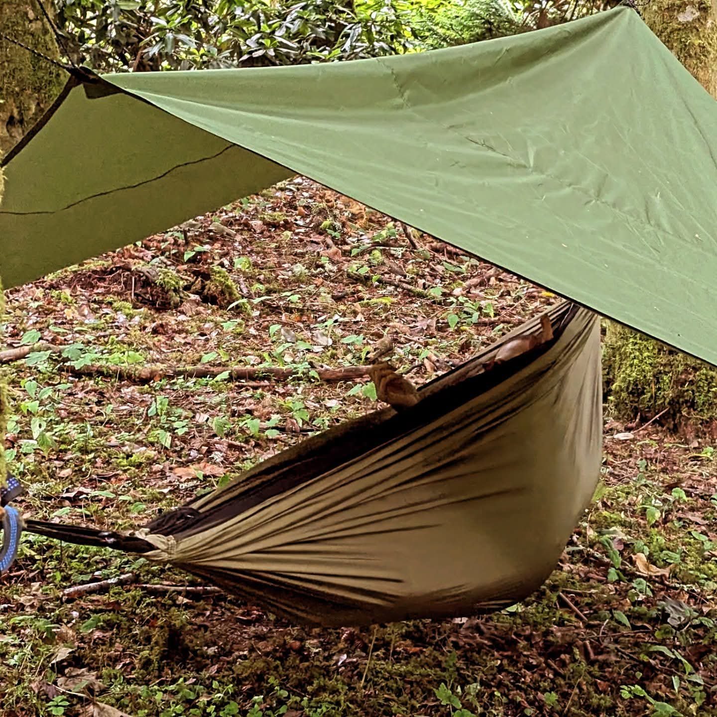 person in hammock in the forest under a green canopy