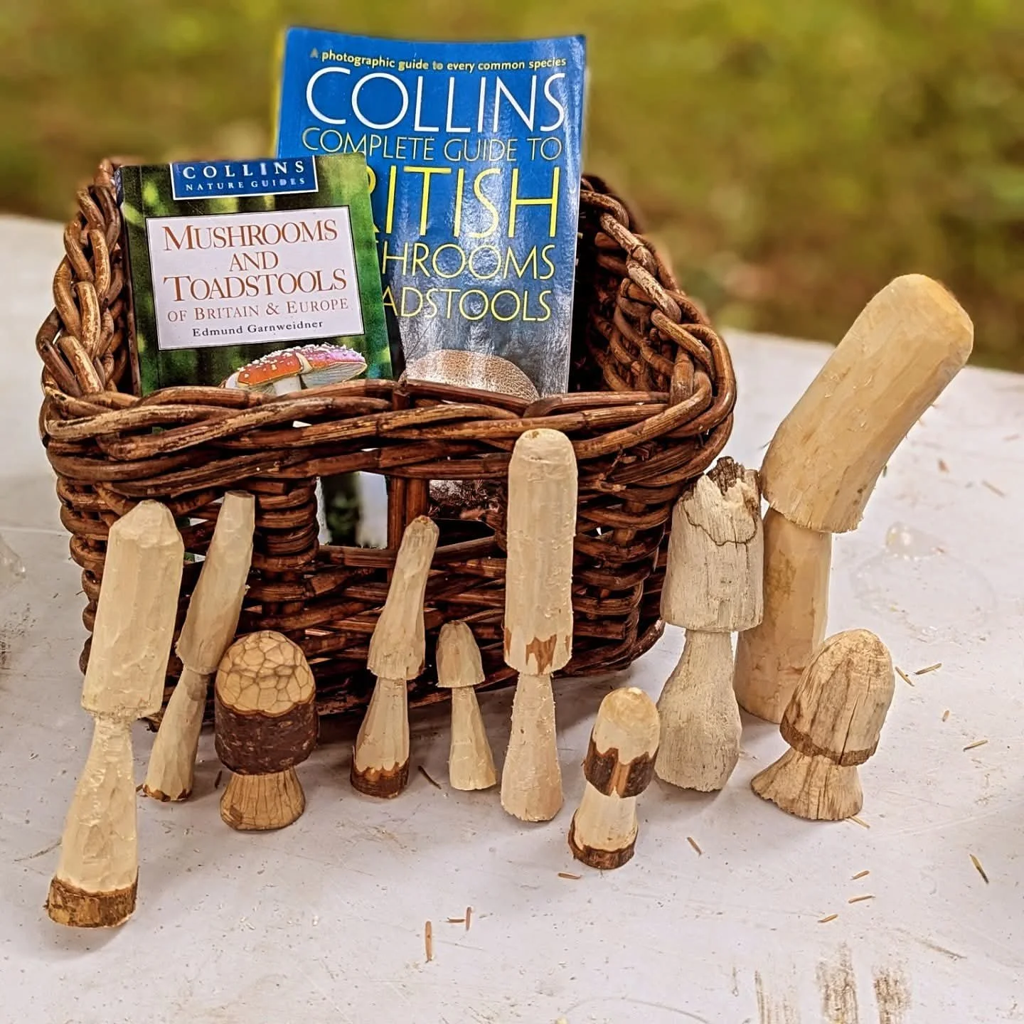 toadstools and wicker basket containing toadstool books