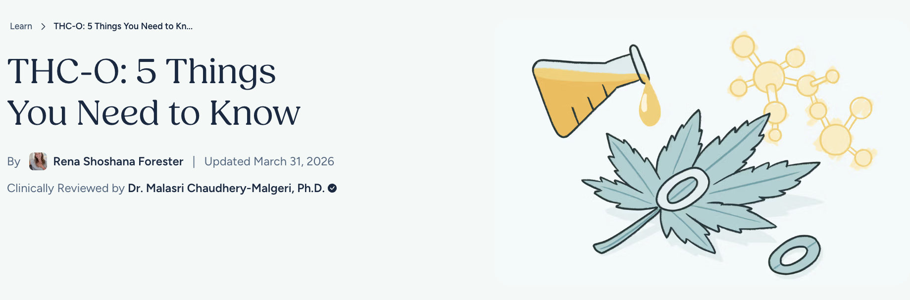 screenshot of the header of the article that reads, "THC-O: 4 Things You Need to Know" with am image of a cannabis leaf and chemical compound