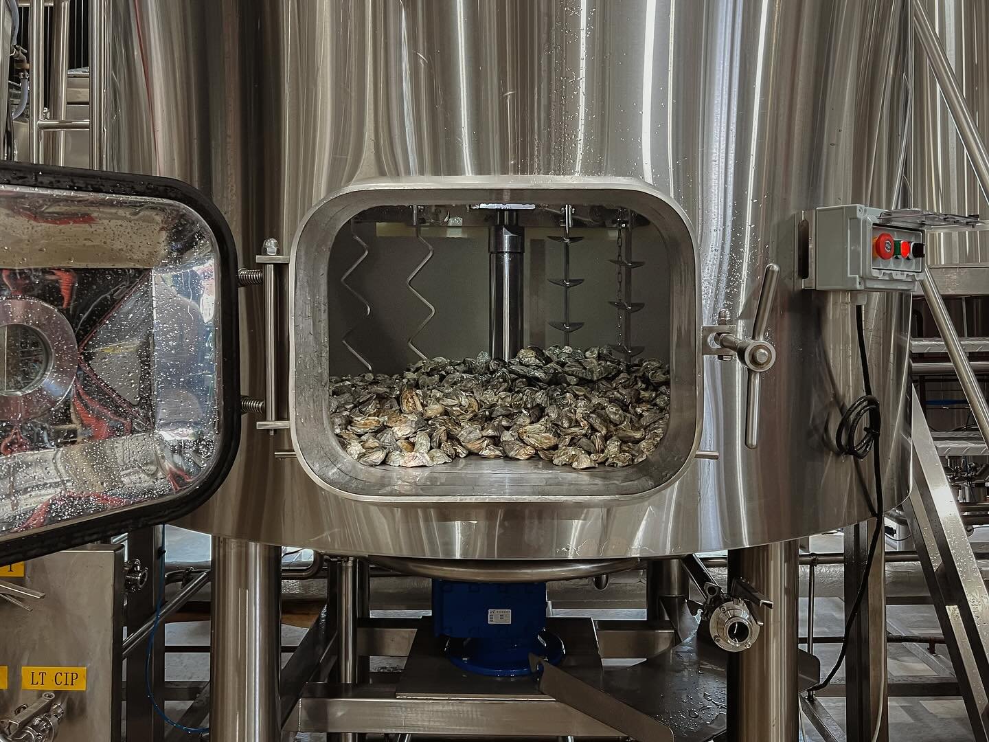 What do you get when you cross Damo and 2160 oysters&hellip;any guesses? (hint it&rsquo;s not an oyster stout)&hellip;you&rsquo;ll just have to wait and find out in a few weeks.

#dangerousales #craftbeer #brewery #craftbrewery #craftbeers #oysters #