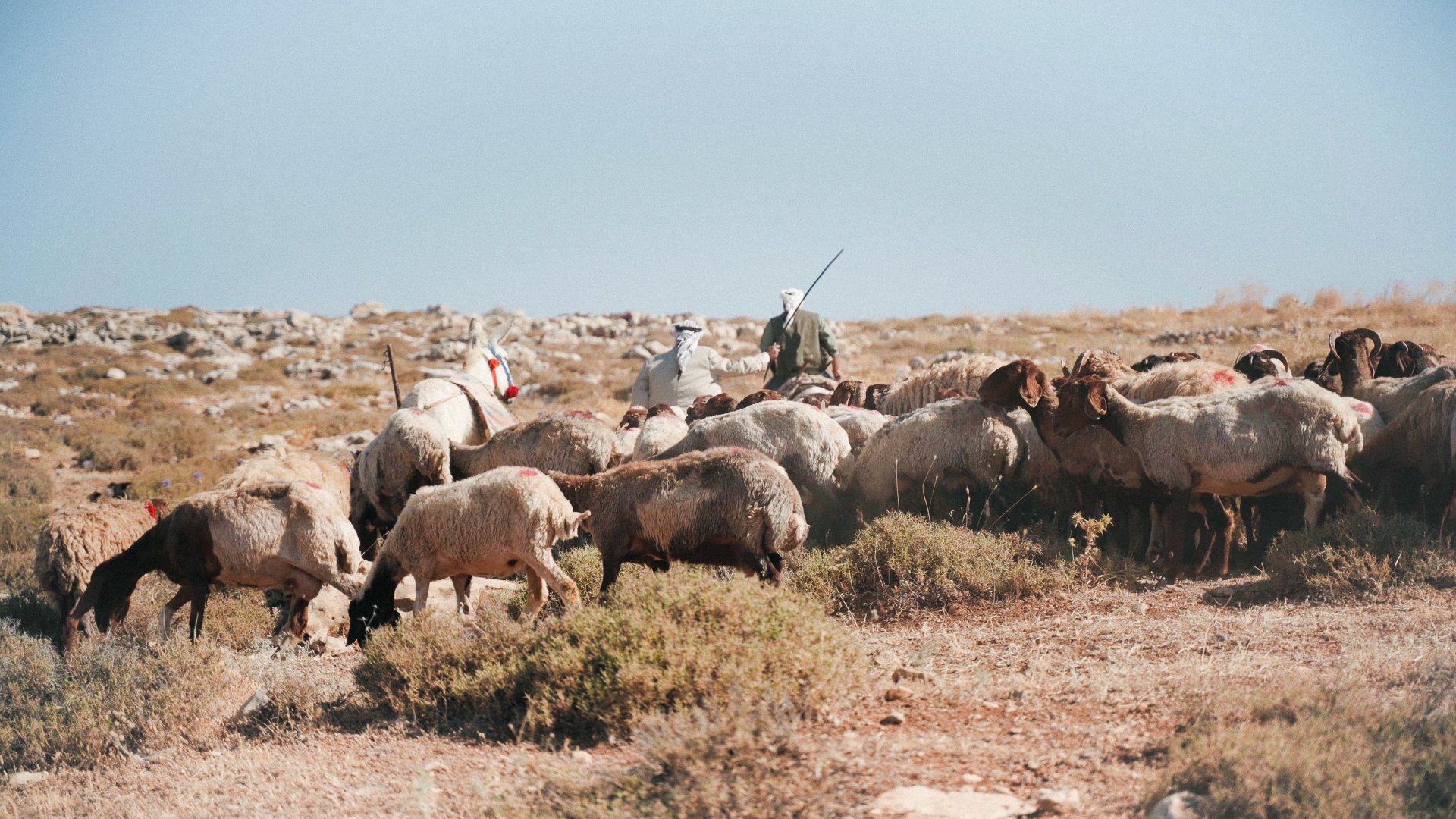 2019_In the Footsteps of Abraham_13.jpg