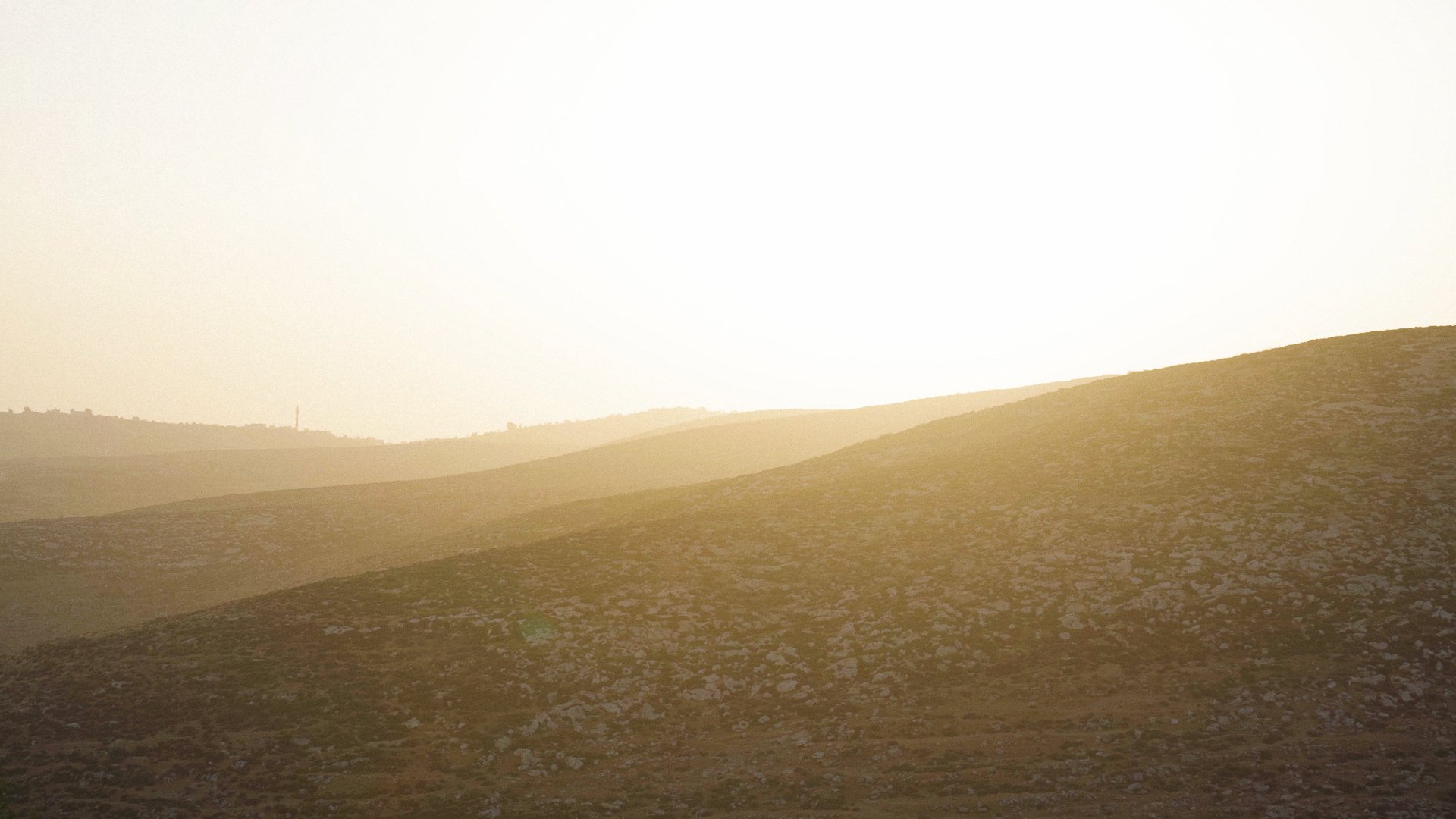 2019_In the Footsteps of Abraham_19.jpg
