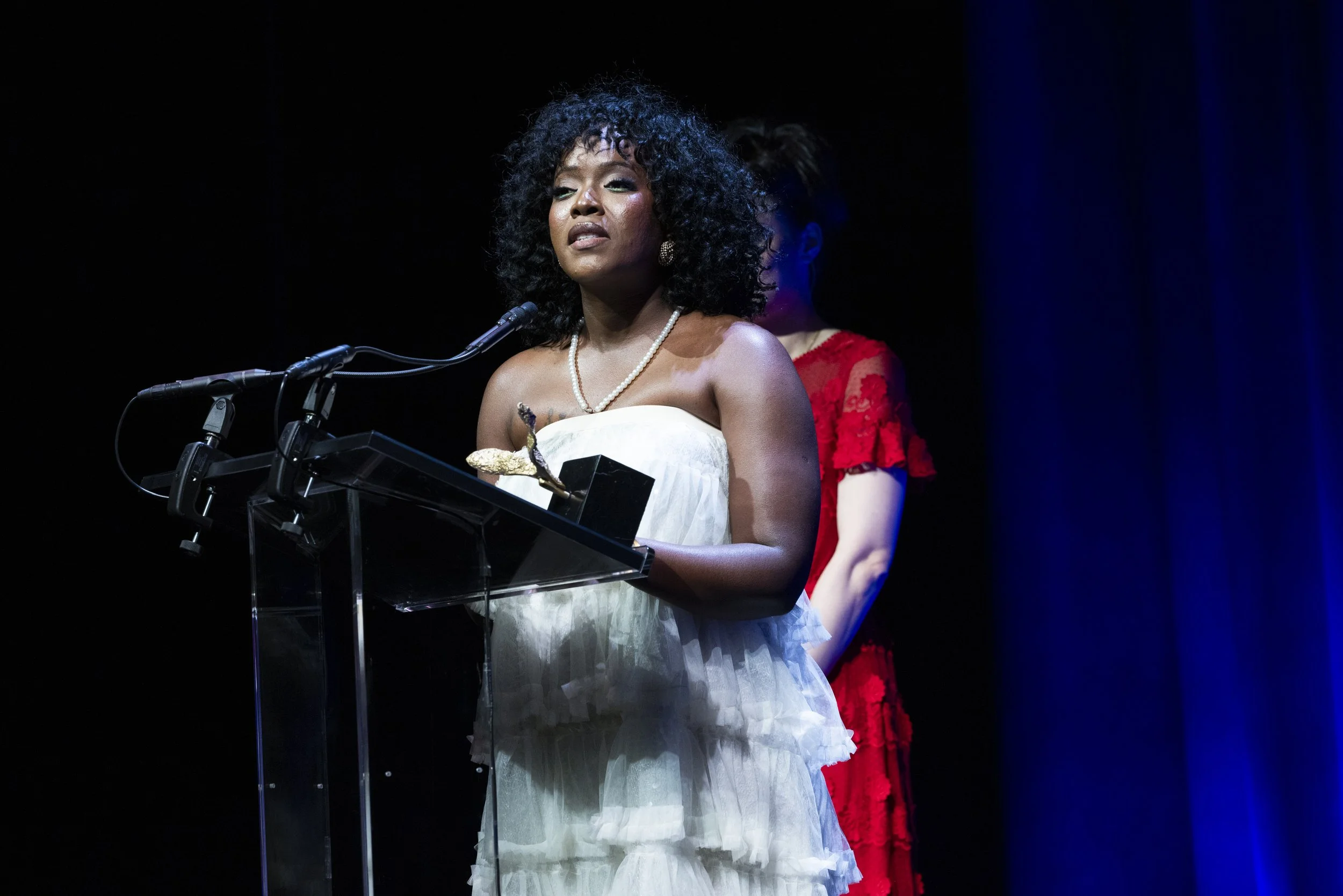 Vital_Voices_Awards_0501.JPG