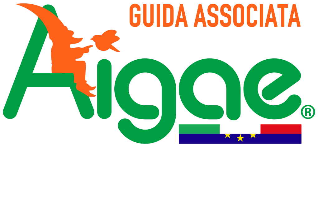 AIGAE Logo