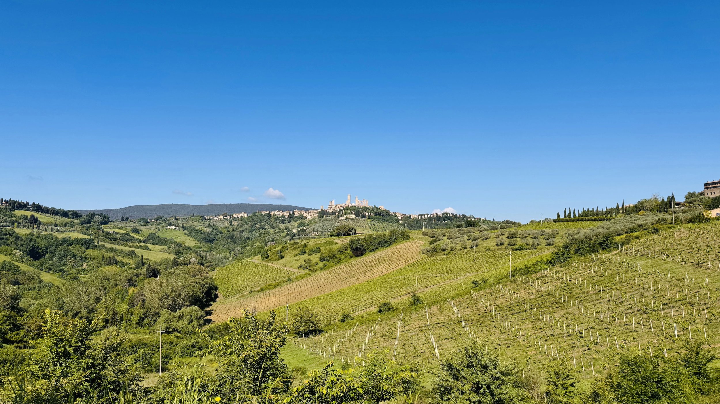San Gimignano and Vineyards.jpg