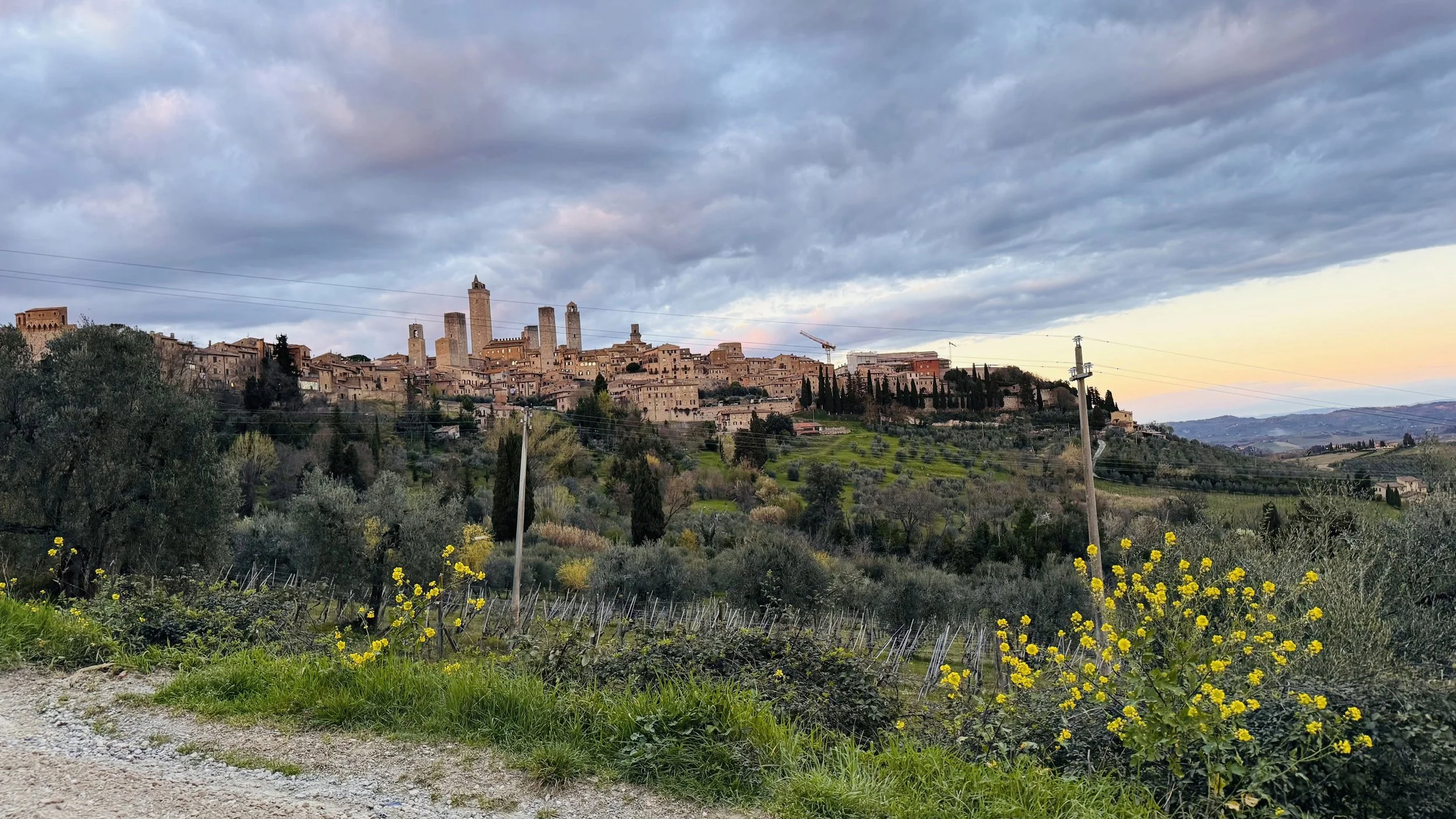 San Gimignano Skyline Dawn.jpg