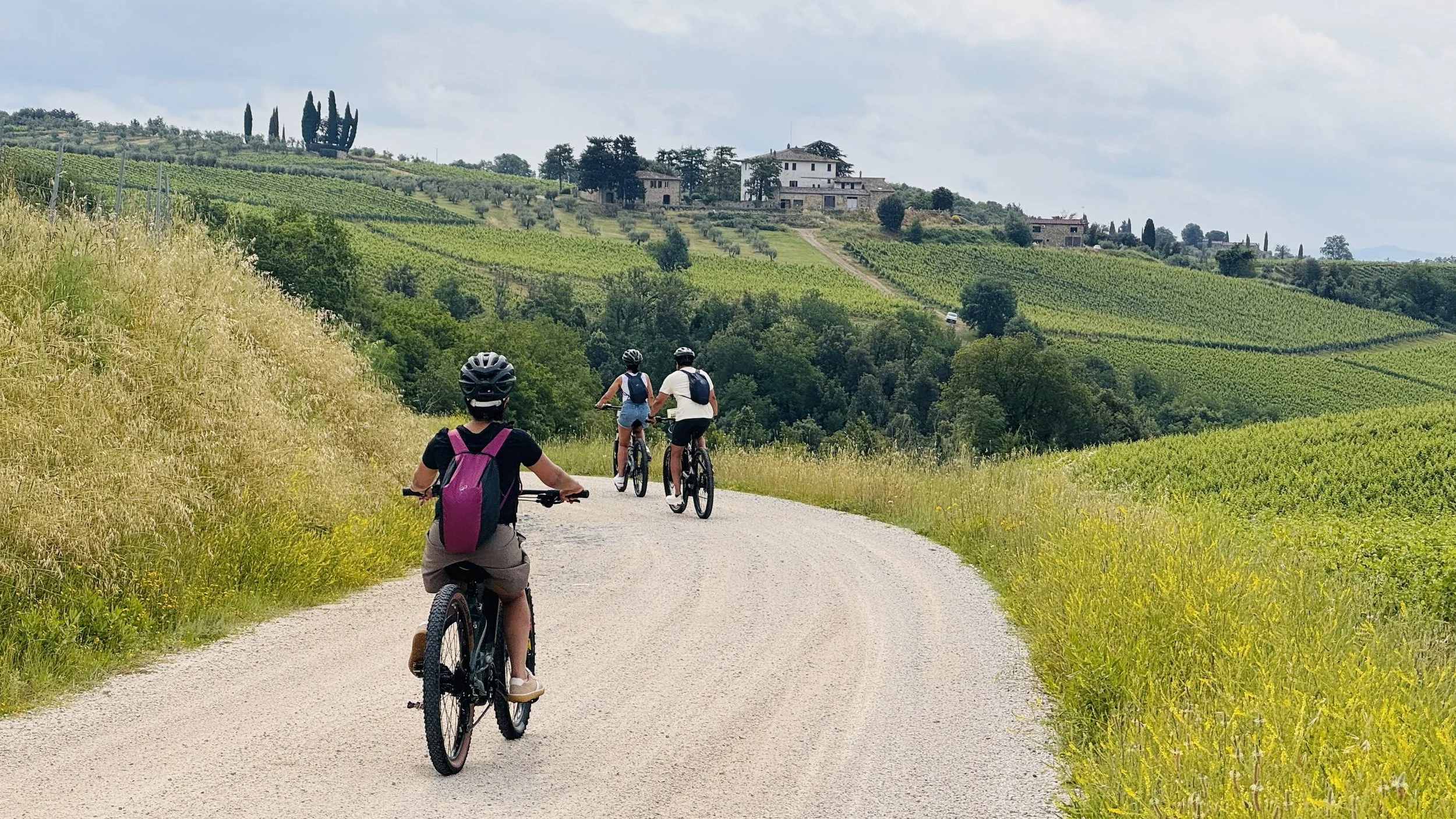 Bespoke Ebike Tour: Chianti Classico with wine Tasting at VallePiciola | Until: Castello di Tornano