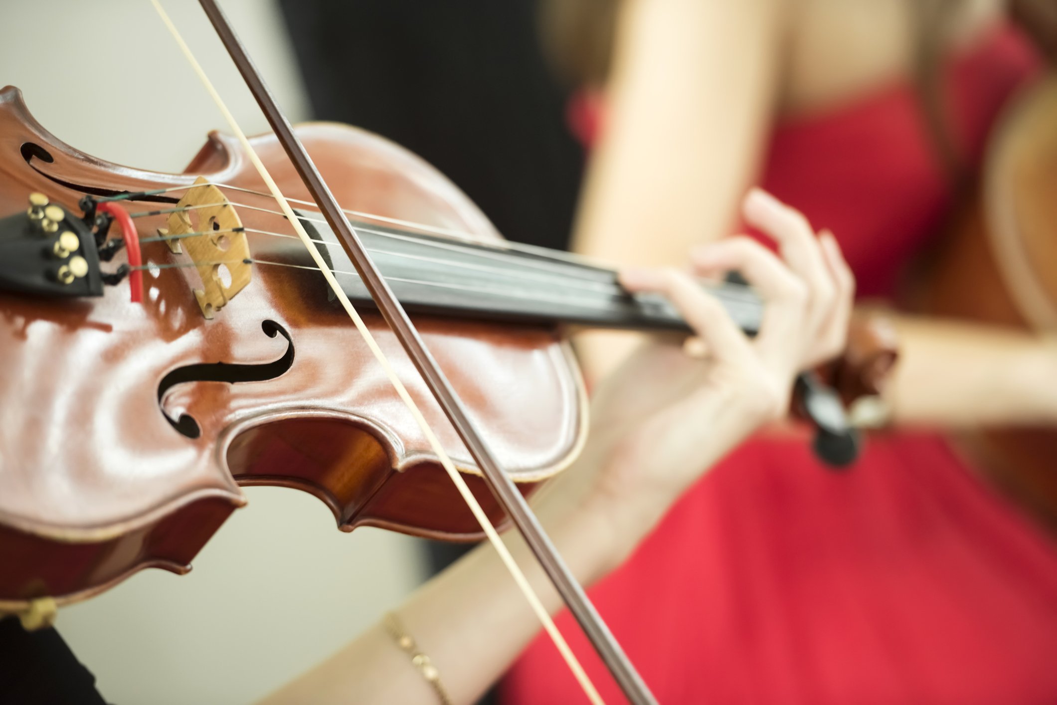 Evening Concert Series: Vivaldi Four Seasons at Christmas by Candlelight - The Piccadilly Sinfonietta