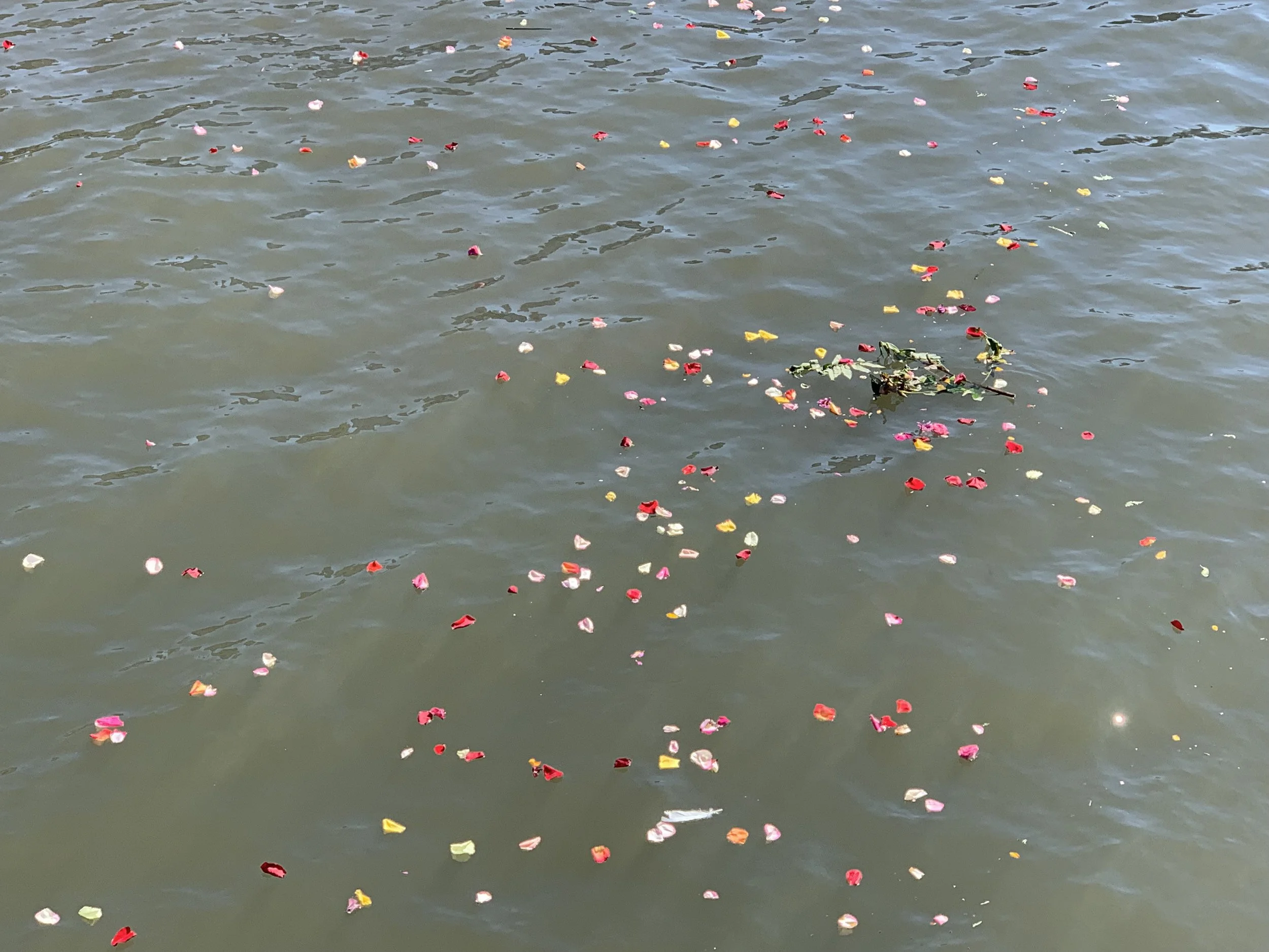 Eight Verses to the Goddess