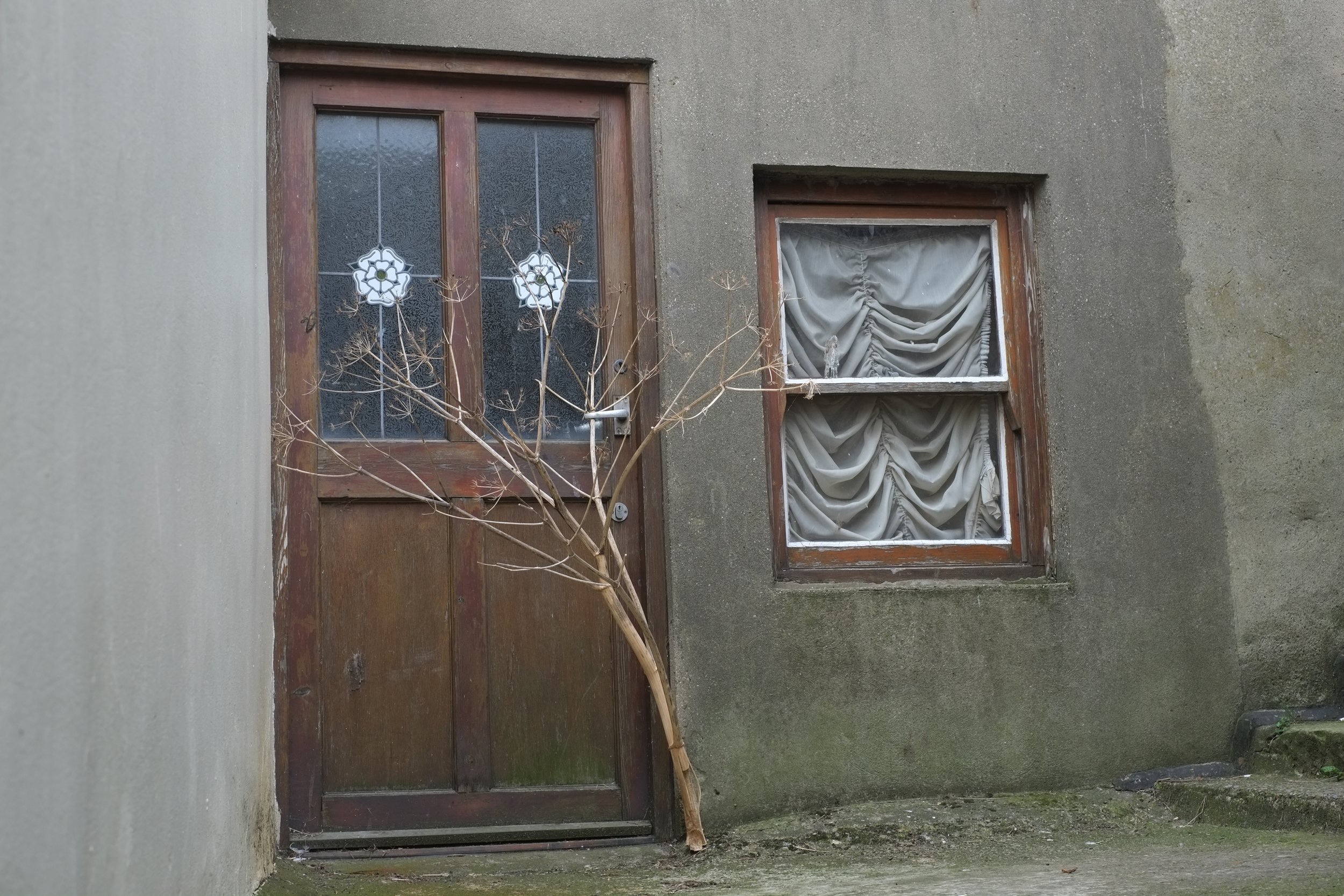 DSCF0781.JPG