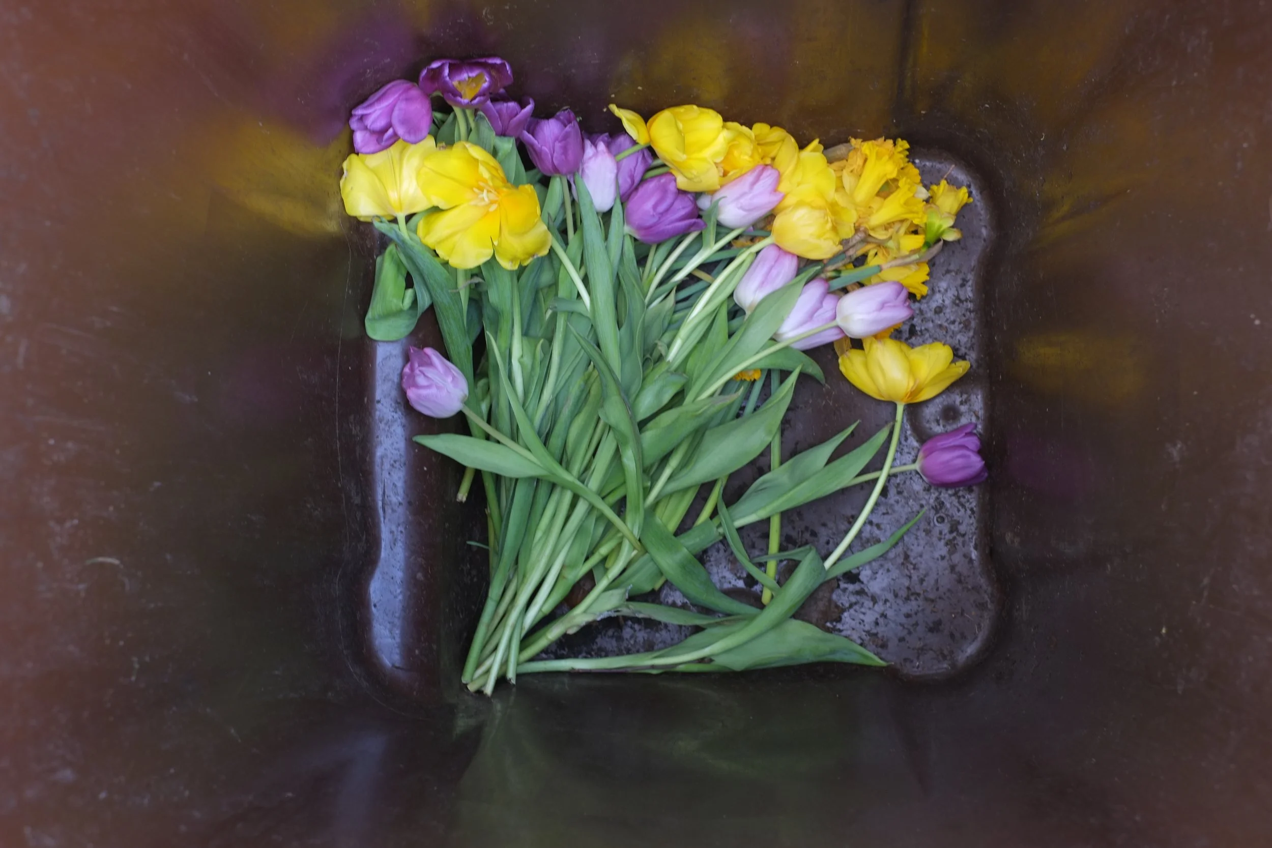 DSCF4802-2.jpg