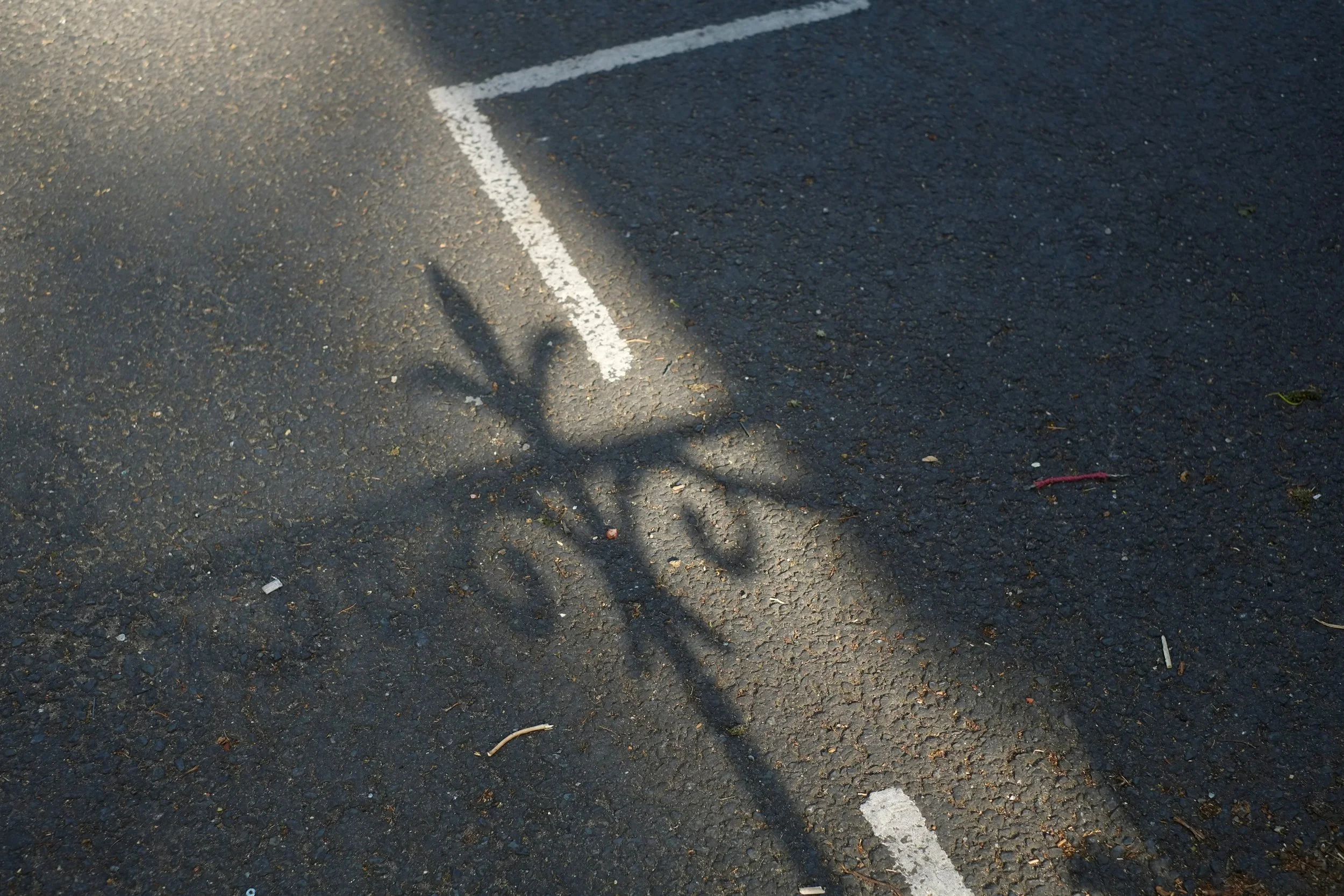 DSCF6038-2.jpg