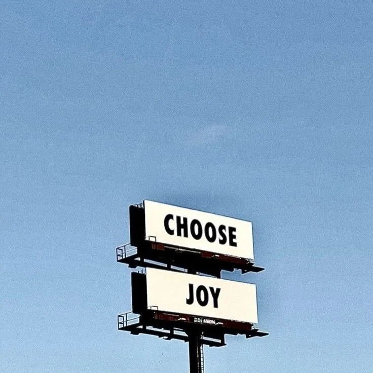 🐫 day inspiration.