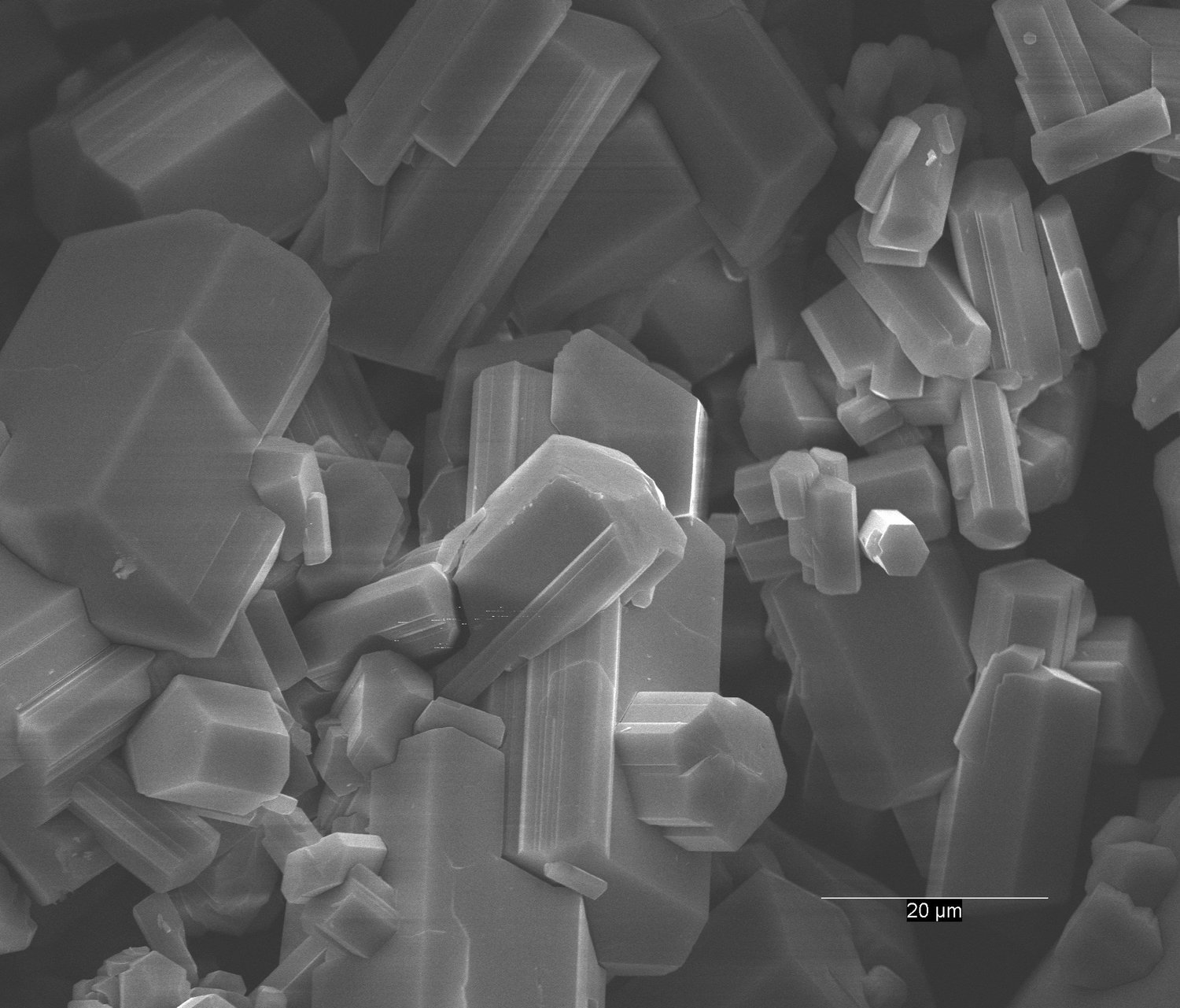 General 4 — Dimensional Bioceramics