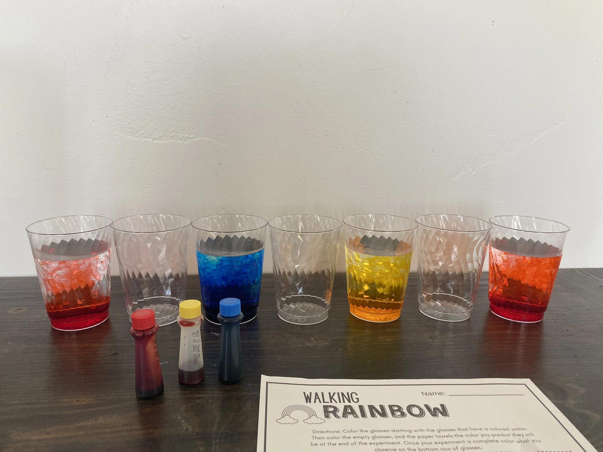 walking rainbow 12.JPG