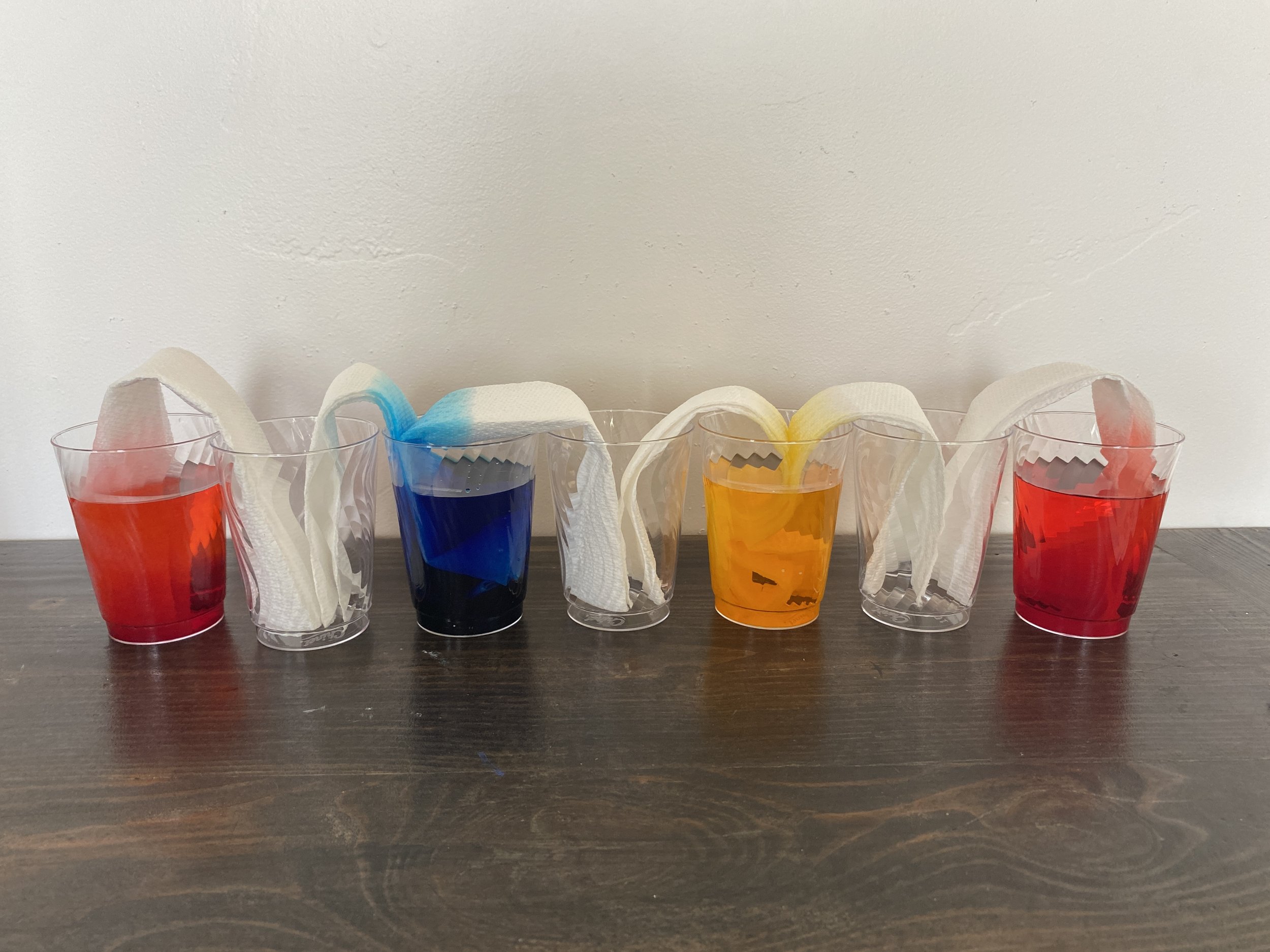 walking rainbow 7.JPG