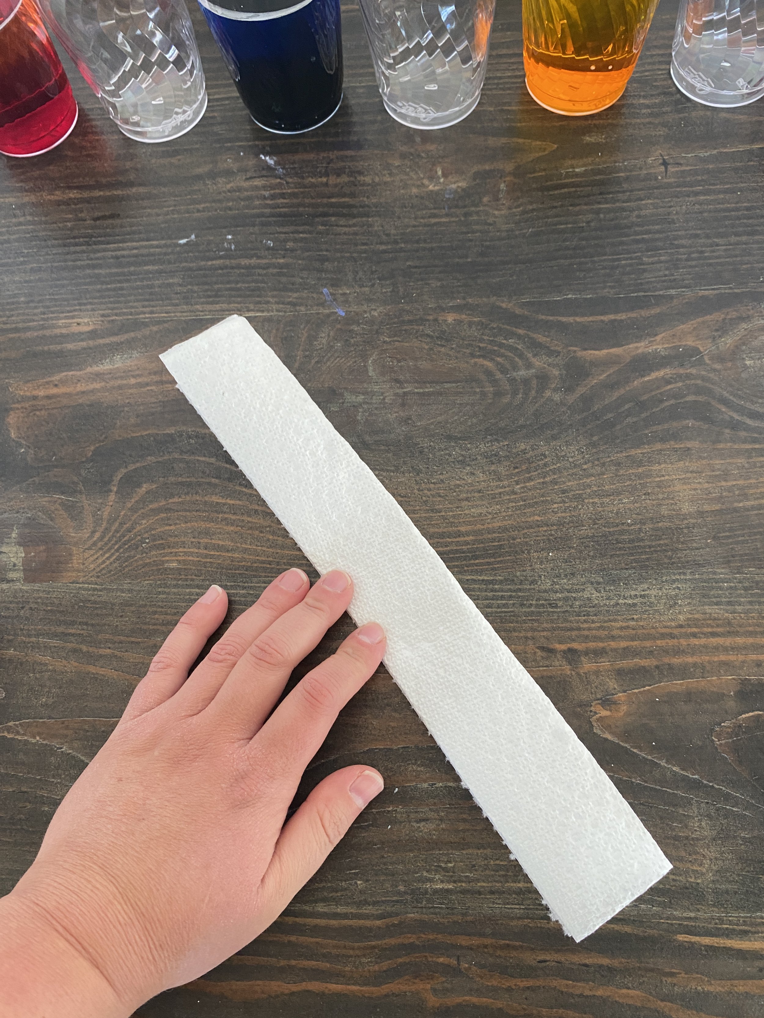 walking rainbow 11.JPG