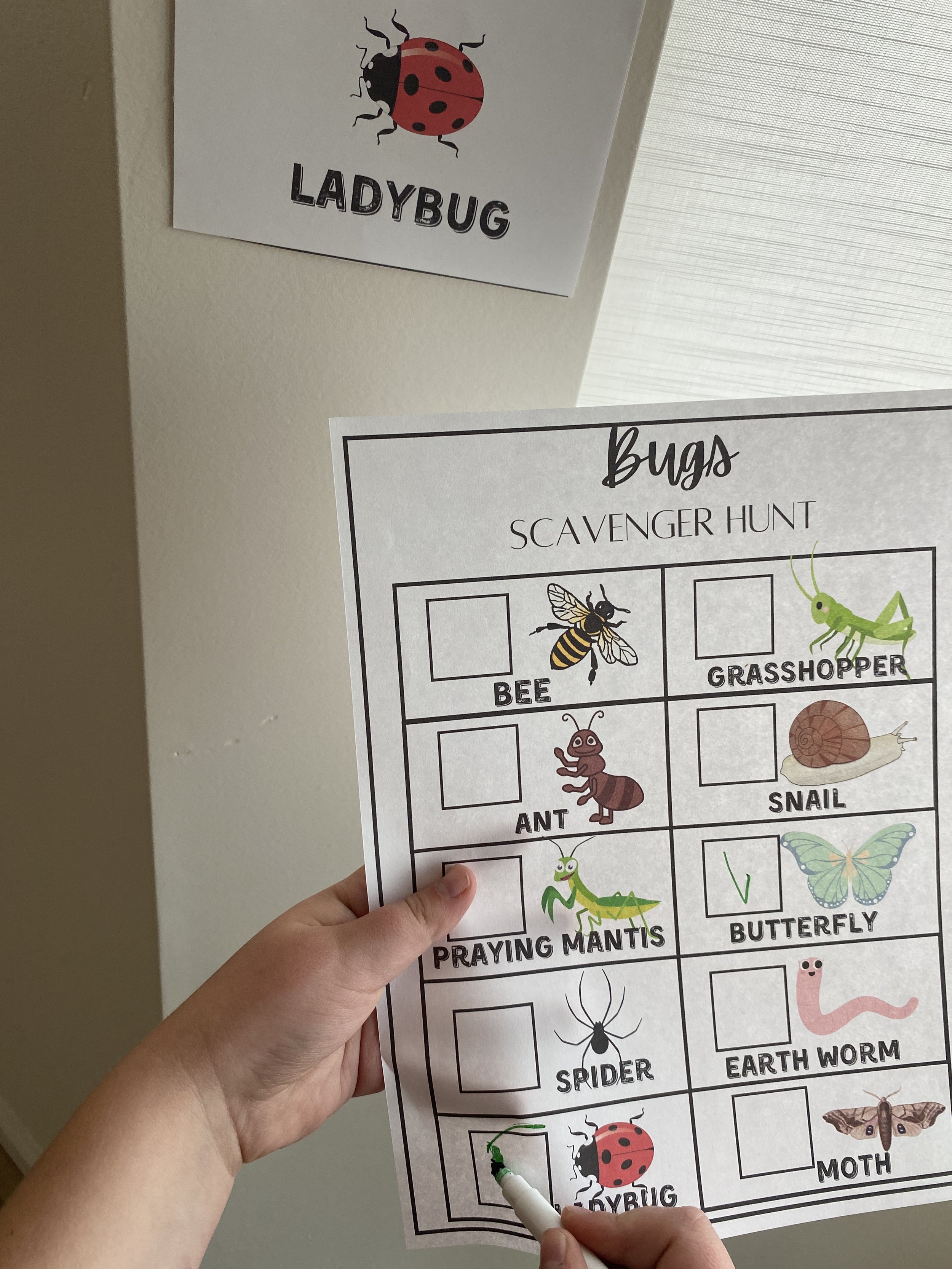 bug scavenger hunt 6.JPG