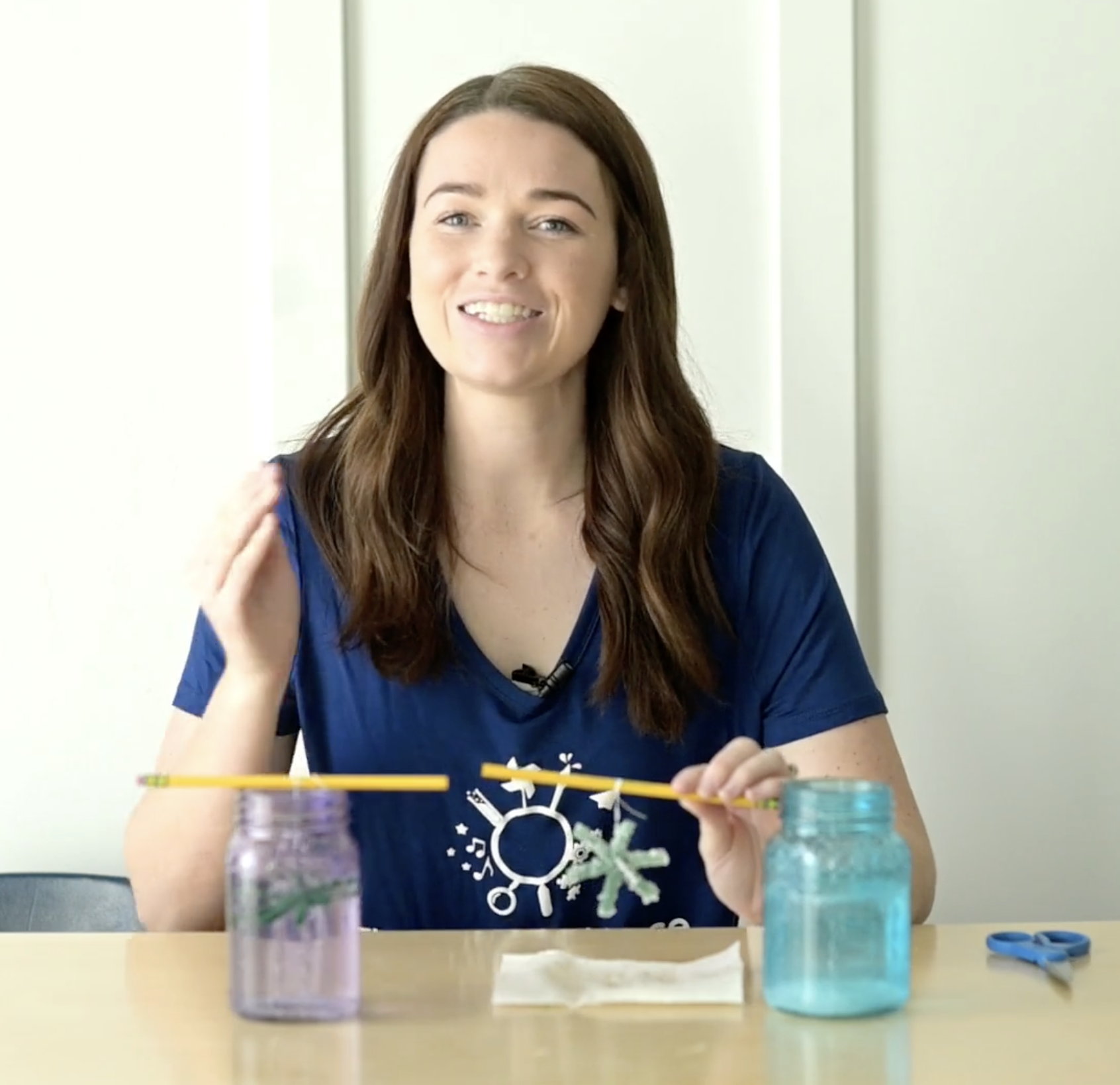Snow Crystal Science Video Lesson