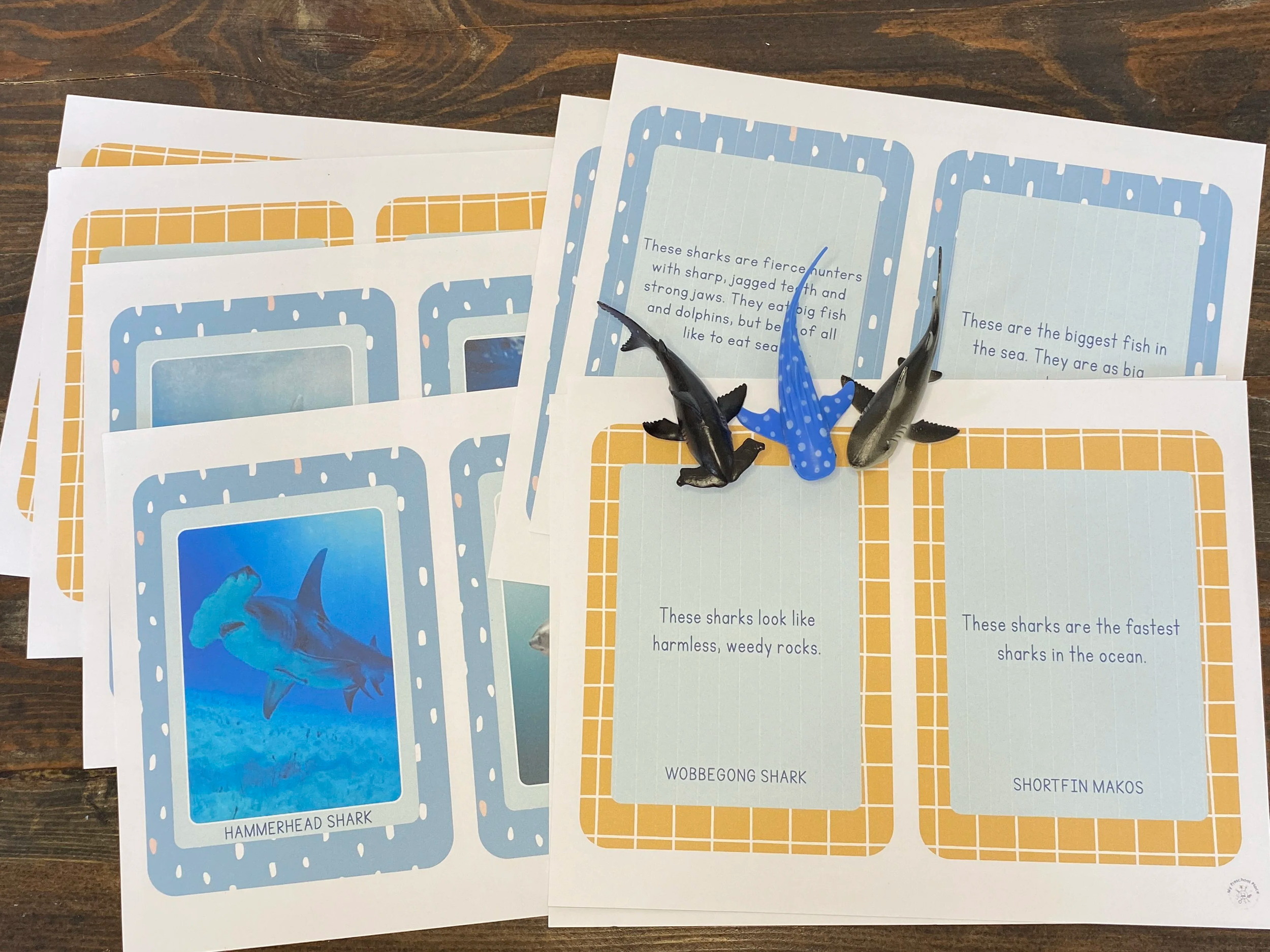 Shark Facts Matching Game