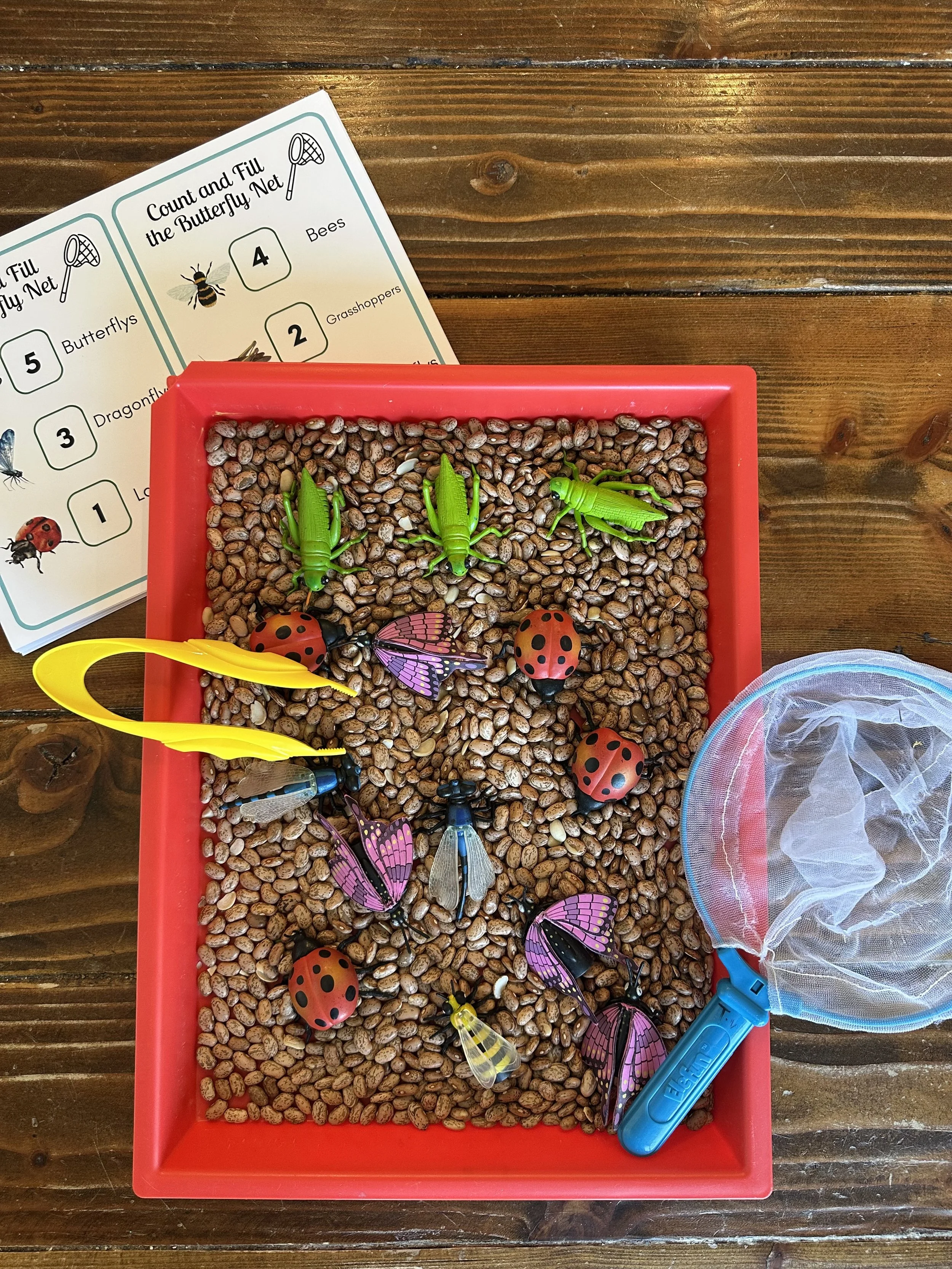 Bugs Count and Fill Sensory Bin