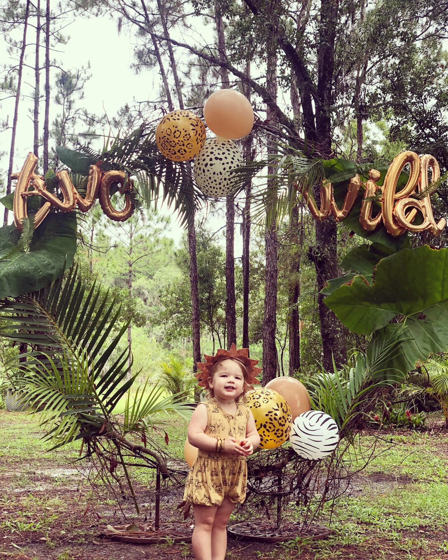 We had a blast hosting this little Lioness at Arrowhead Farms for her 2nd birthday, it was TWO WILD.😜

We would love to work with you to host your next outdoor celebration and bring your creative vision to life.✨