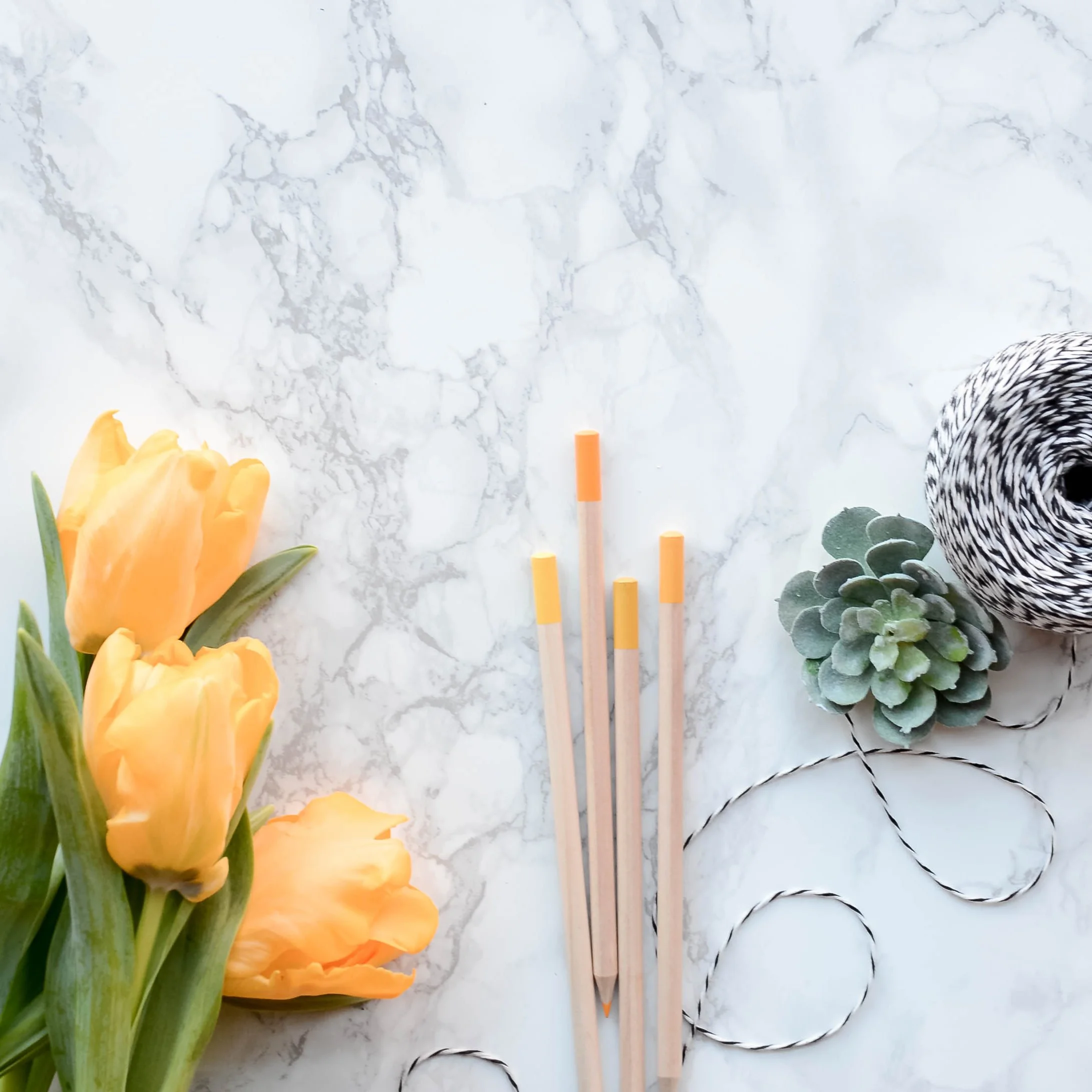 How to Create a Stylish Blog for Under $20 Dollars 