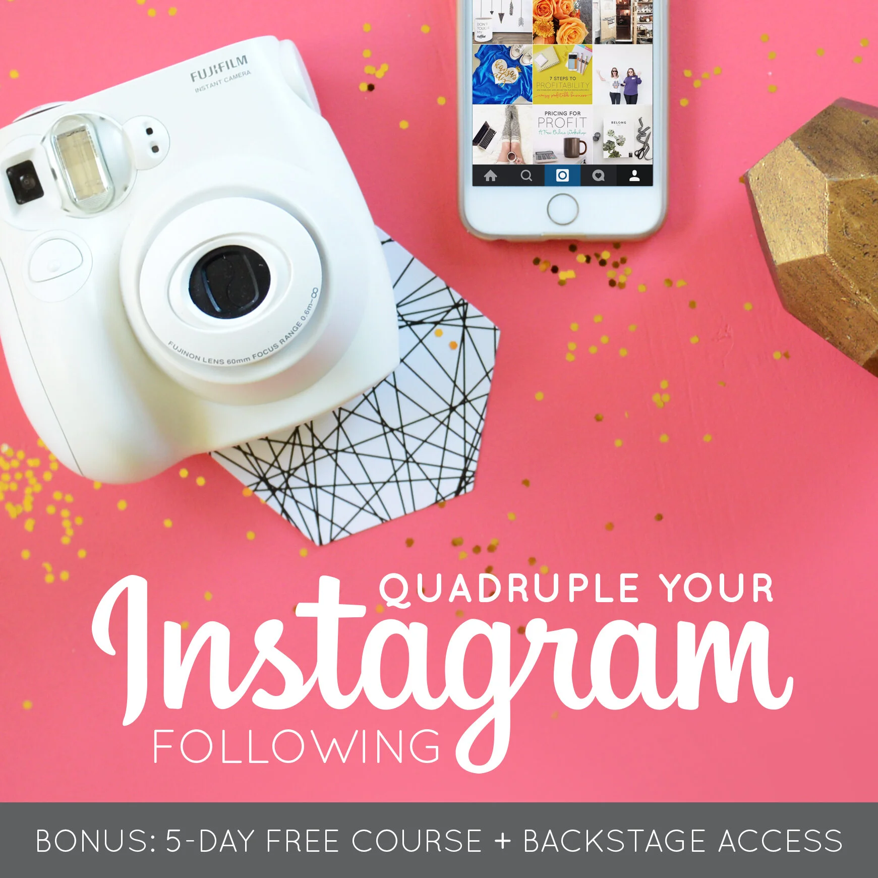 Quadruple Your Instagram (BONUS: 5-Day FREE Course)