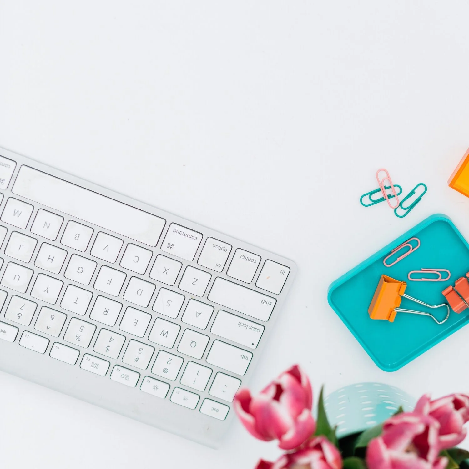 No Sales Page. No Email List. $10k in Sales a Month