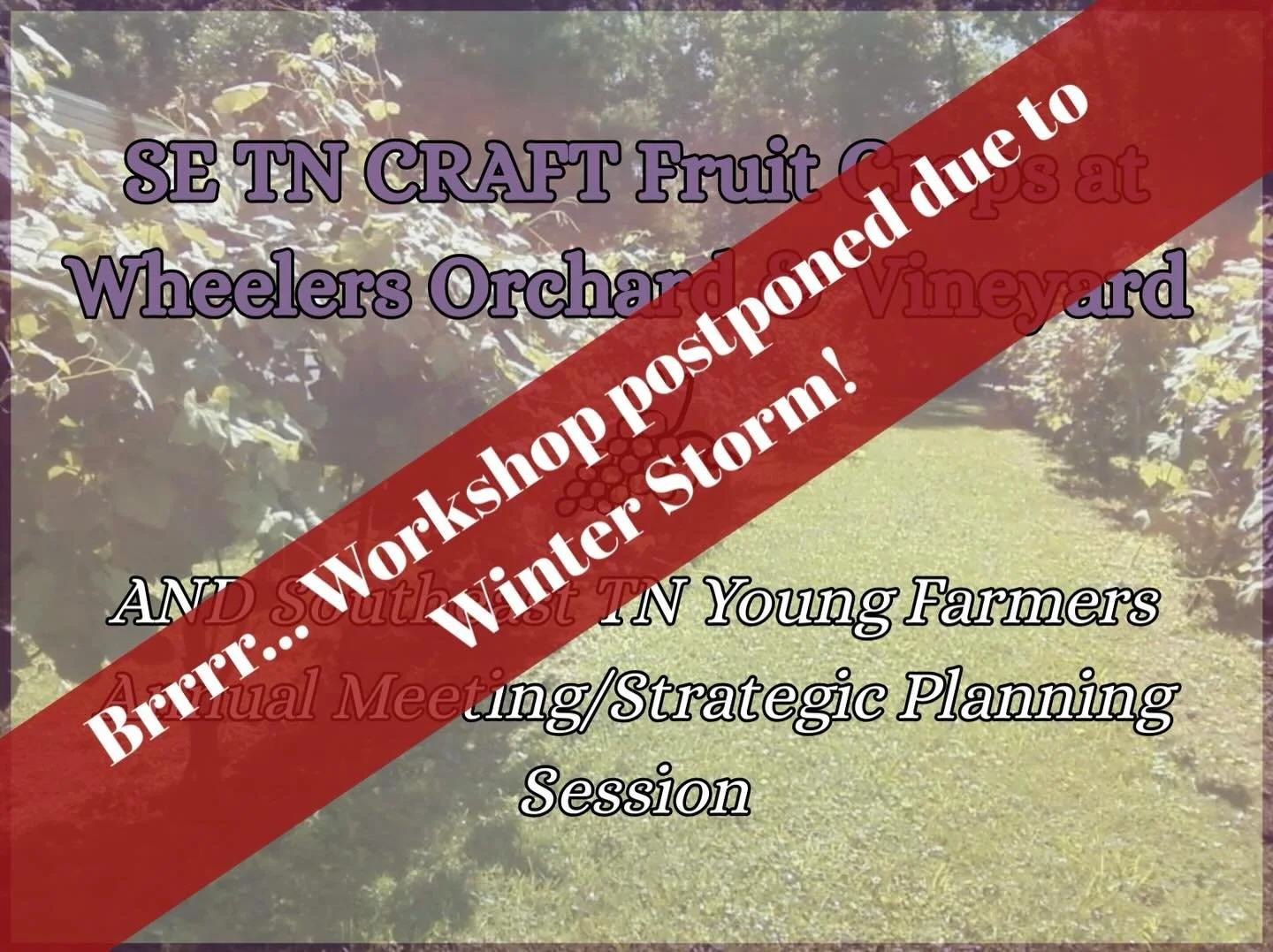 With the coming winter storm, we have decided to postpone the CRAFT Fruit Crops Workshop at Wheelers Orchard and move the SeTNYF Annual Meeting and Strategic Planning Session to a virtual format. If you signed up for the event, look for an email with