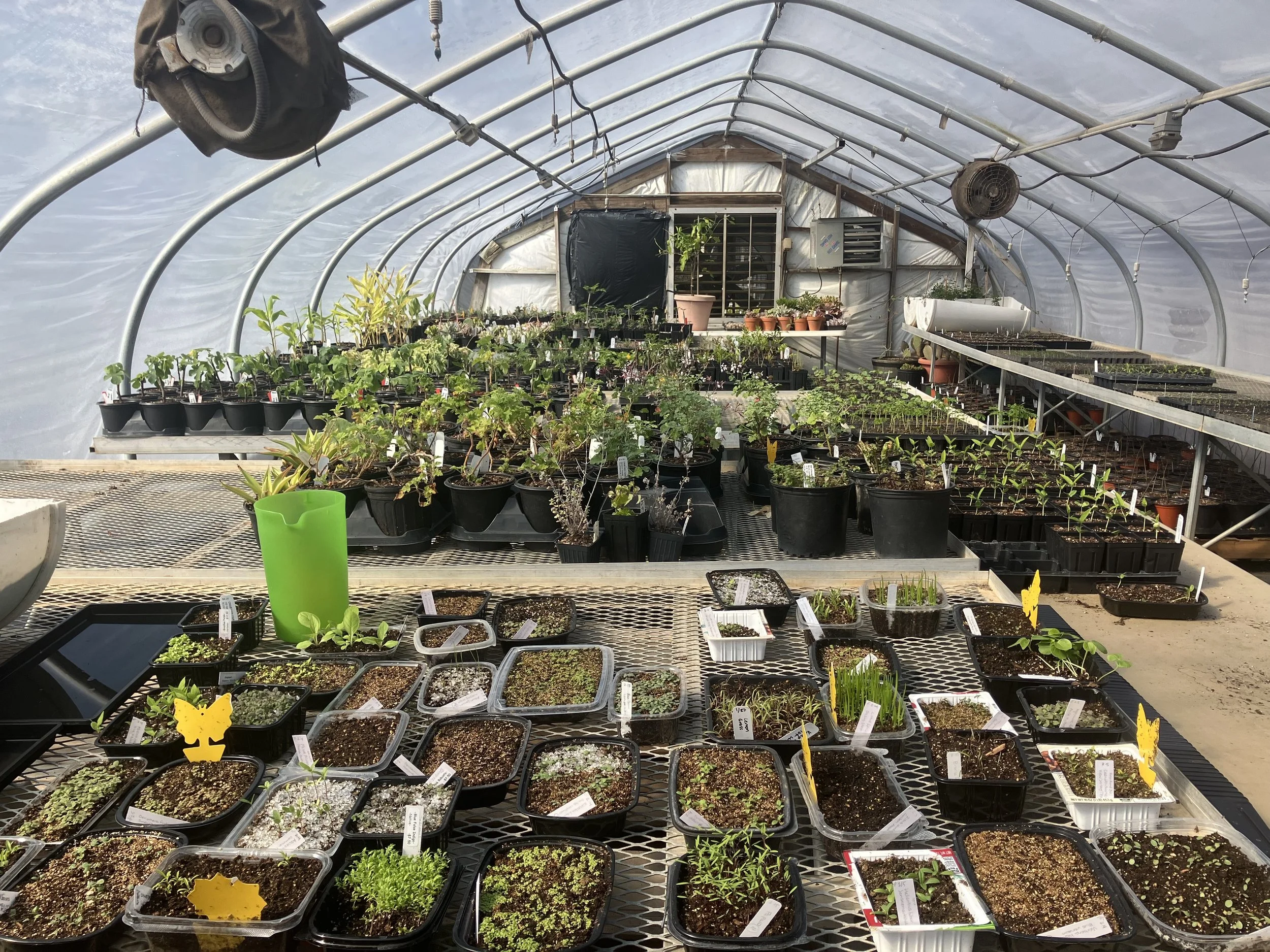 CRAFT Greenhouse Workshop at Crabtree Farms 