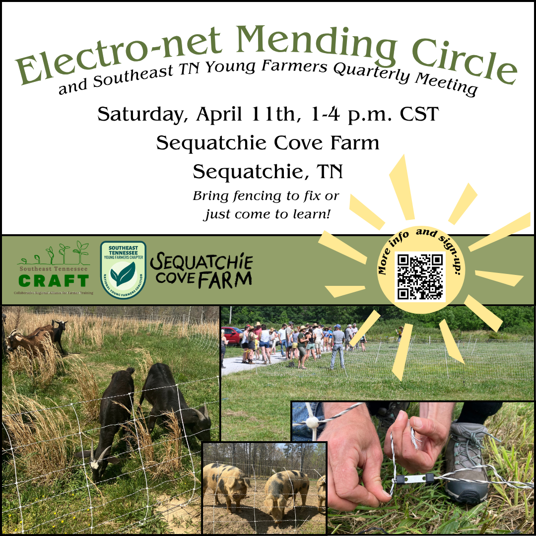 CRAFT Electro-net Mending Circle 