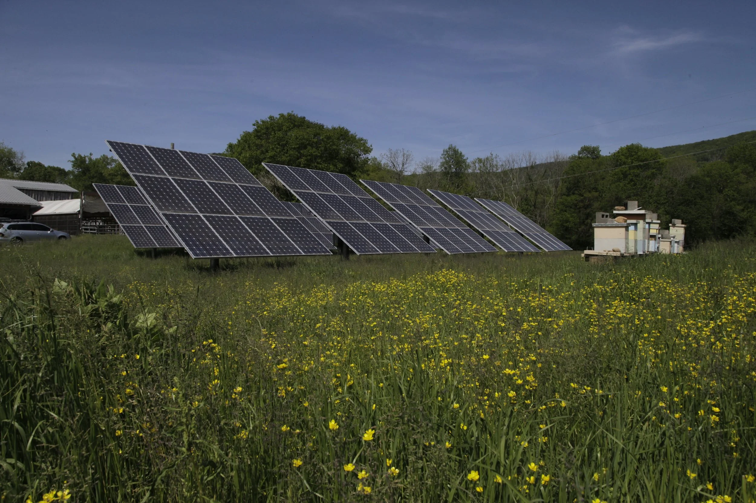 Southeast Tennessee Young Farmers