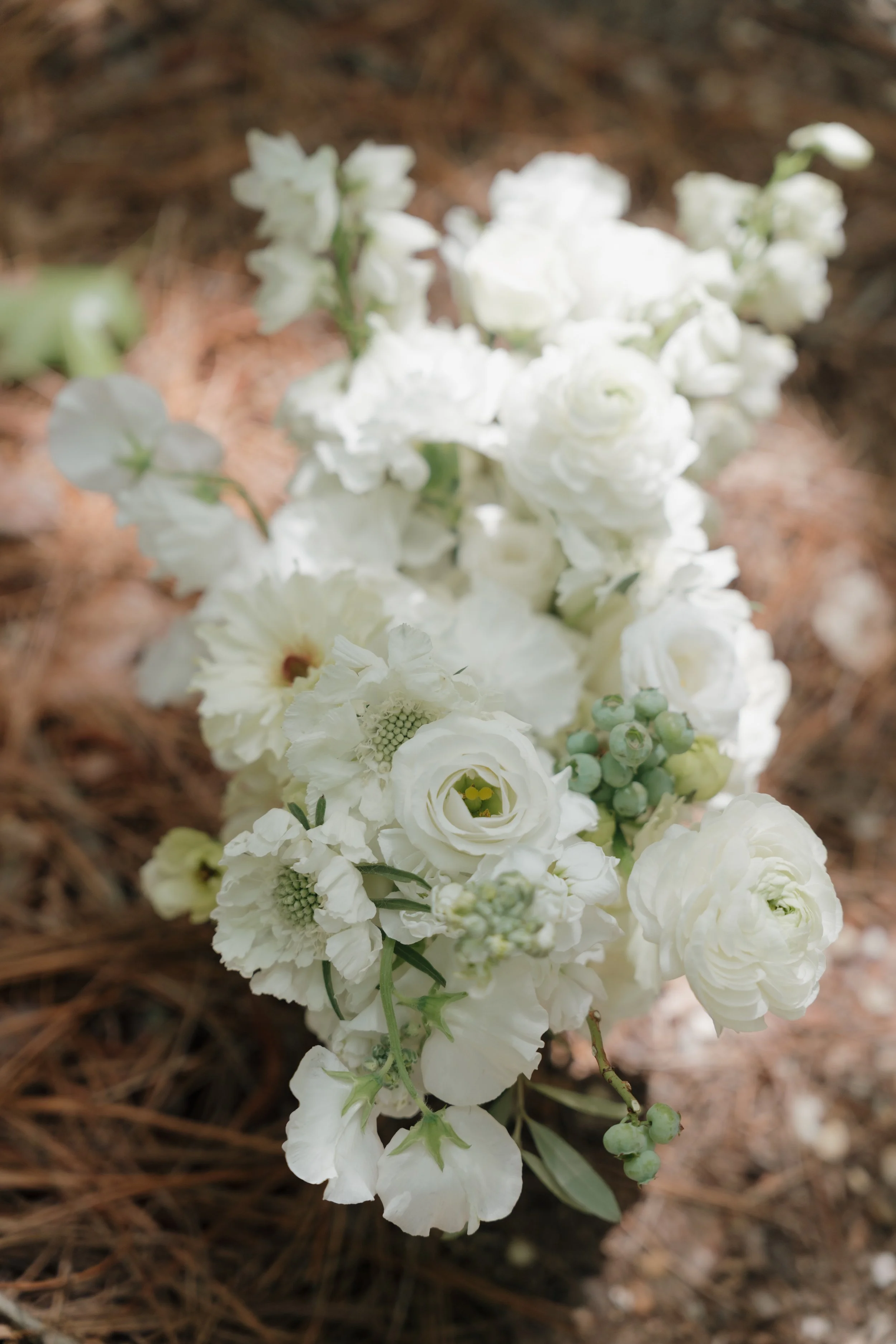 A bouquet of white flowers, including roses, ranunculus, and other blooms, lying on pine needles and brown ground.