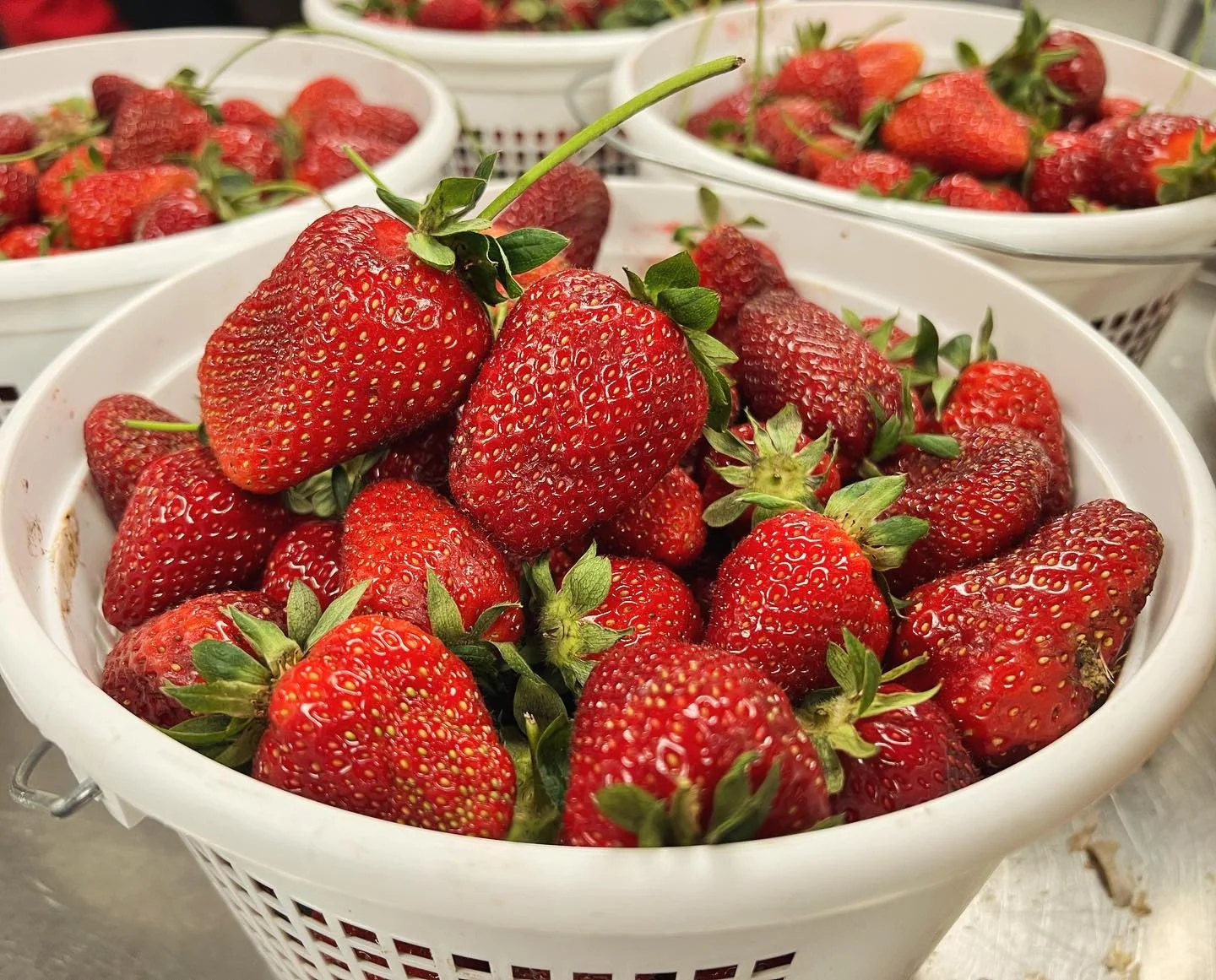 Strawberry 🍓 Freshly picked 😋

#strawberry #lefresca #downtown #downtownbham #seasonal #justpicked #rossini #strawberryandgelato #strawberryrisotto #italianfood