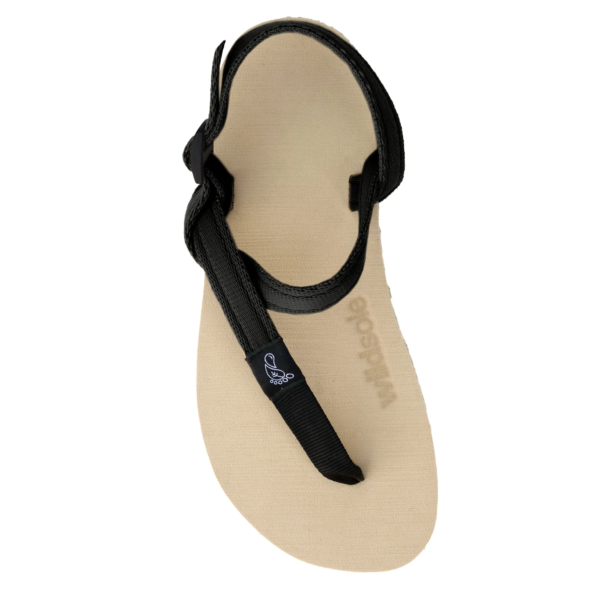 wildsoleHoneyBearBlack.jpg