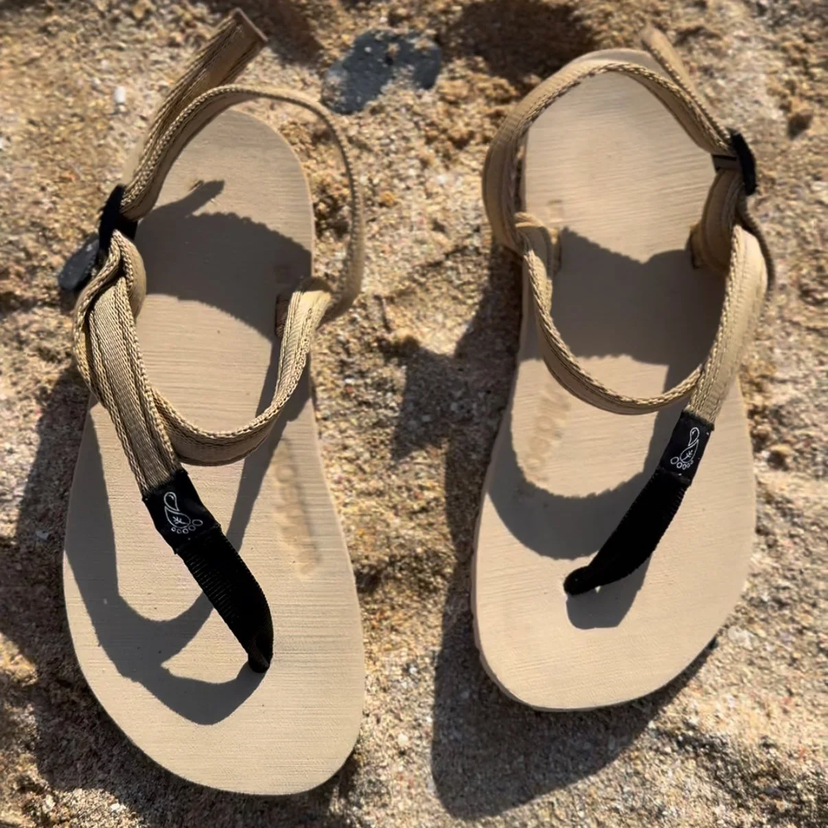 wildsoleHoneyBearSand8.jpg