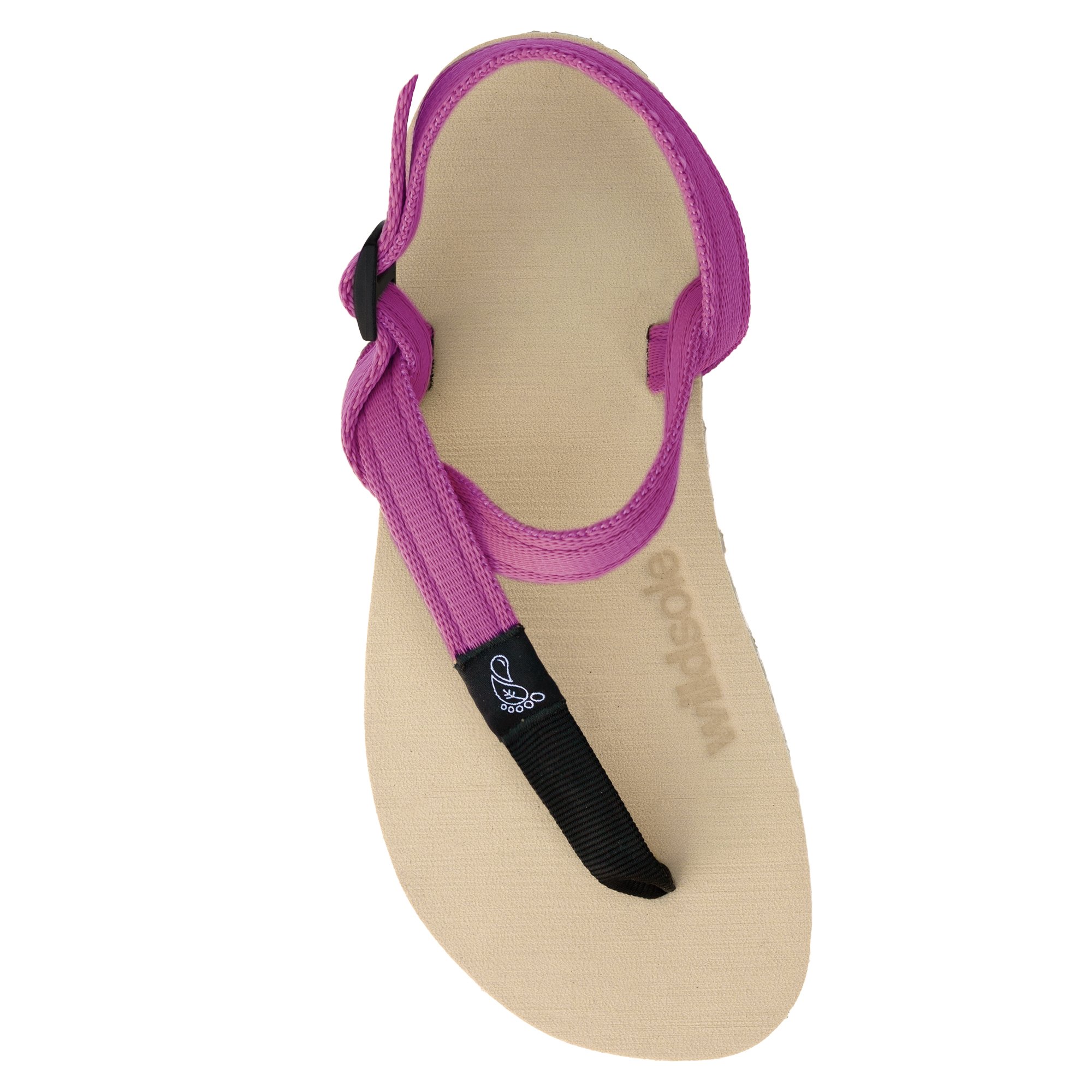 wildsoleHoneyBearPink.jpg