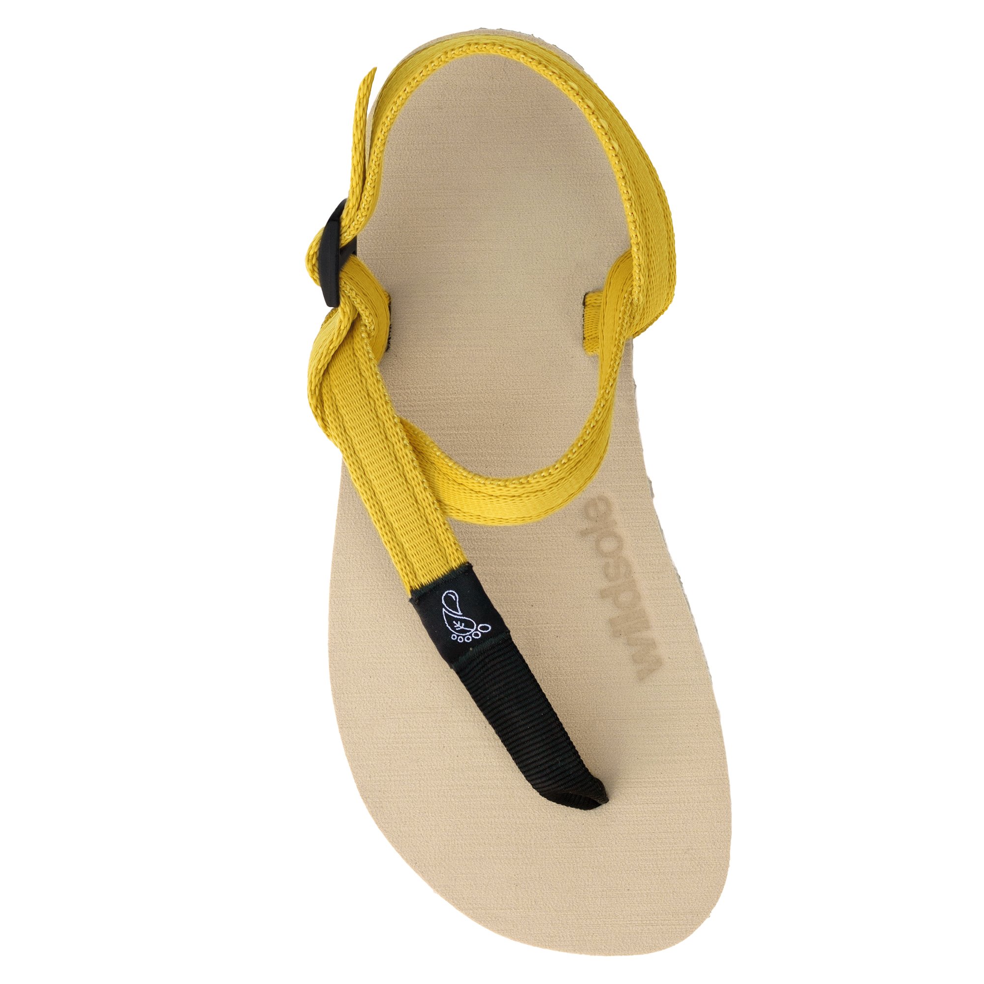 wildsoleHoneyBearYellow.jpg